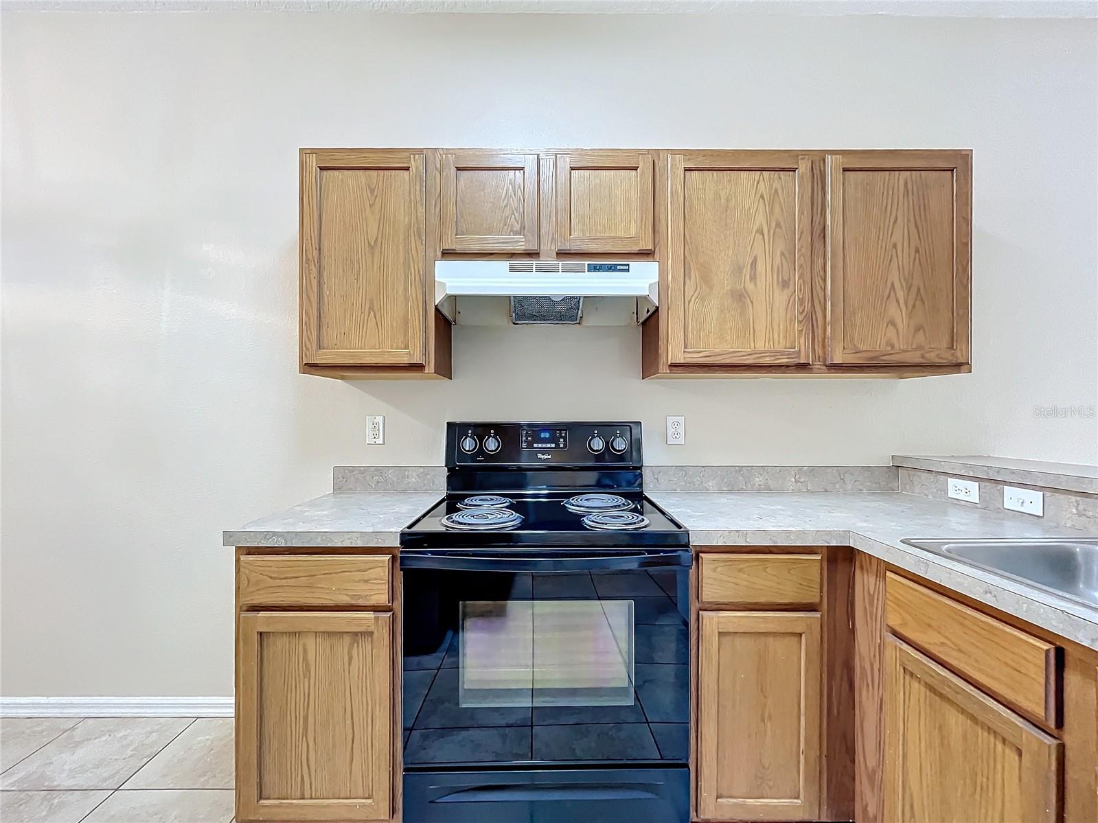 250 RYANS RIDGE AVE, EUSTIS, FL, 32726