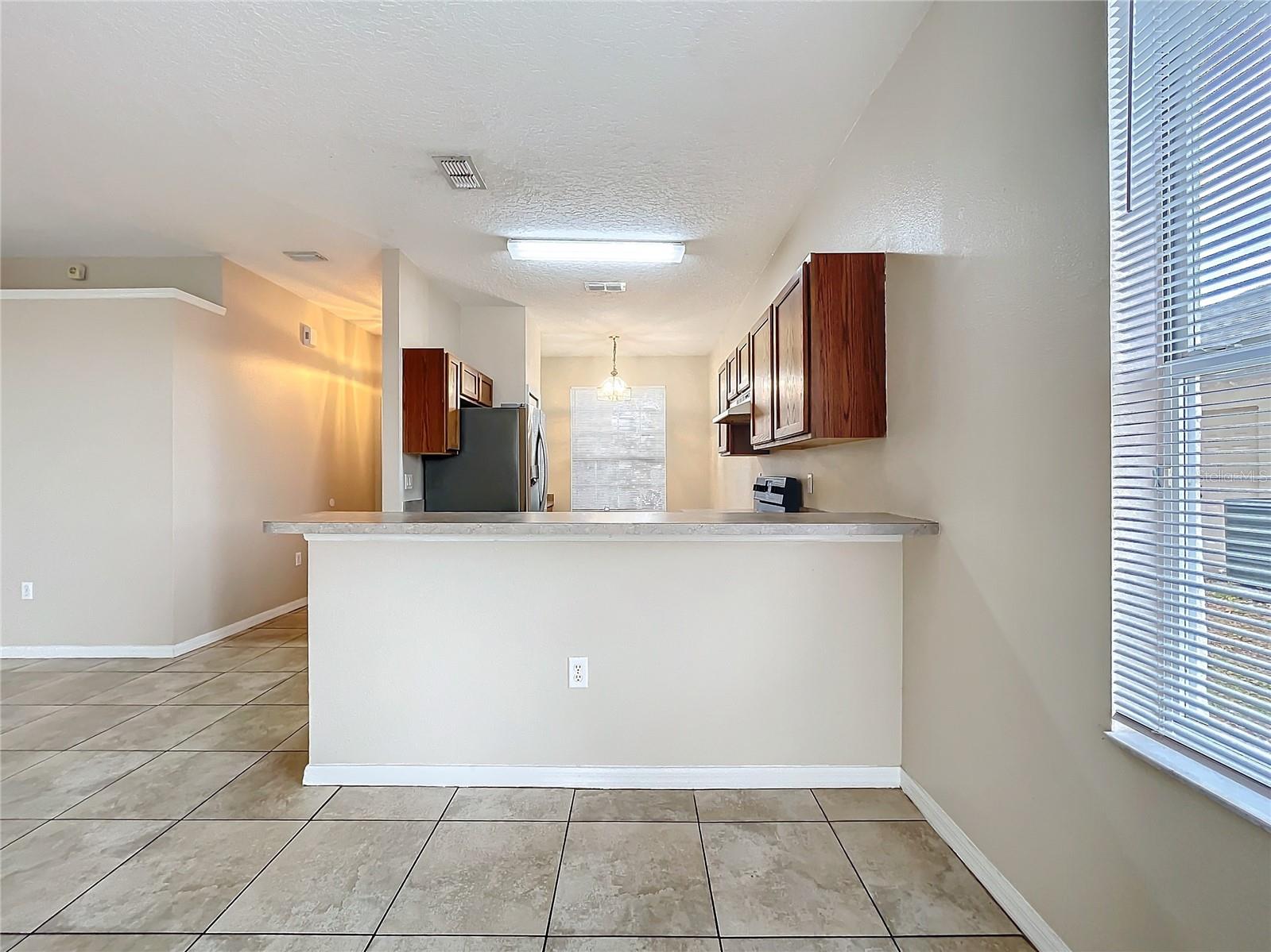 250 RYANS RIDGE AVE, EUSTIS, FL, 32726