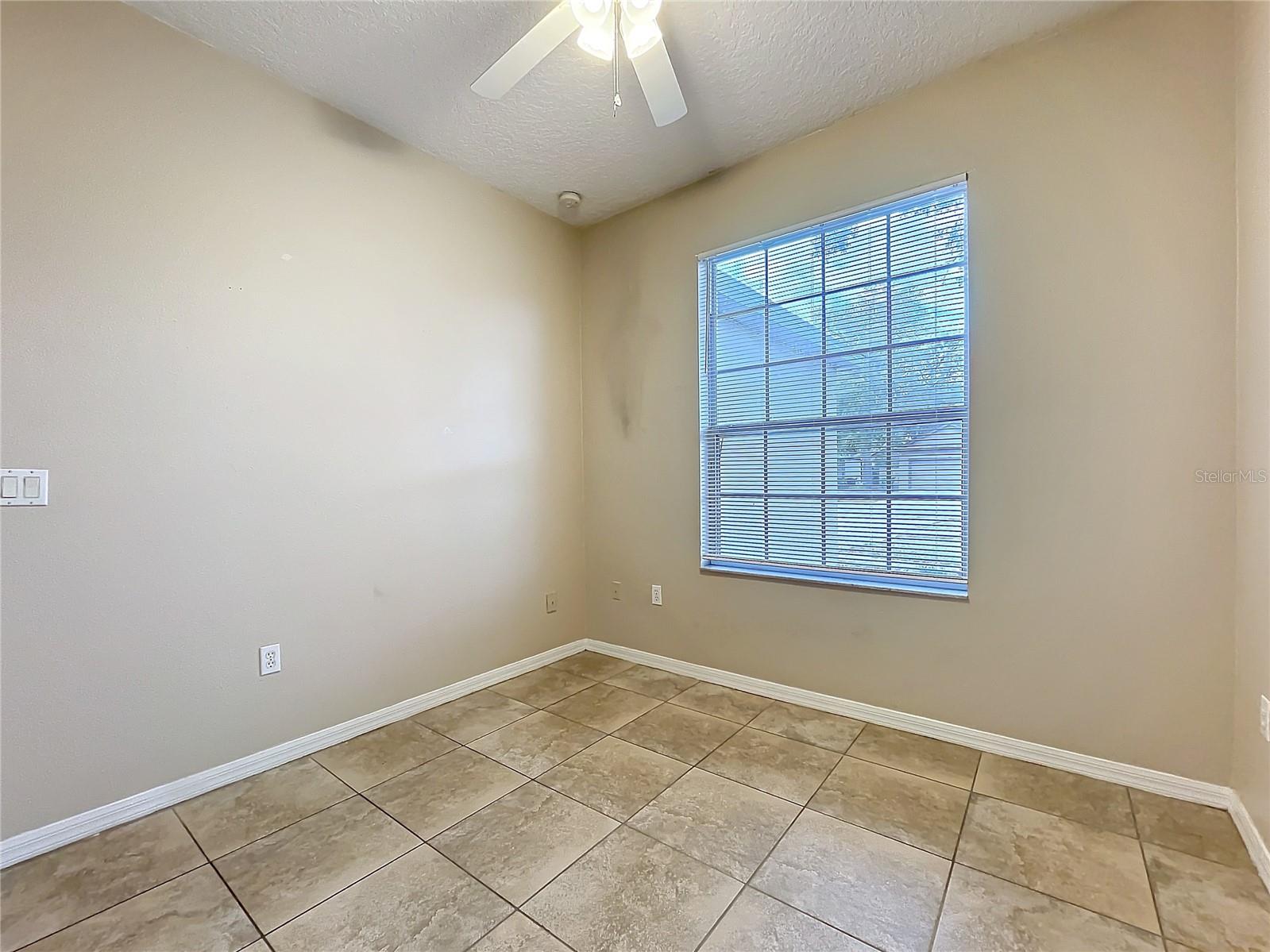 250 RYANS RIDGE AVE, EUSTIS, FL, 32726