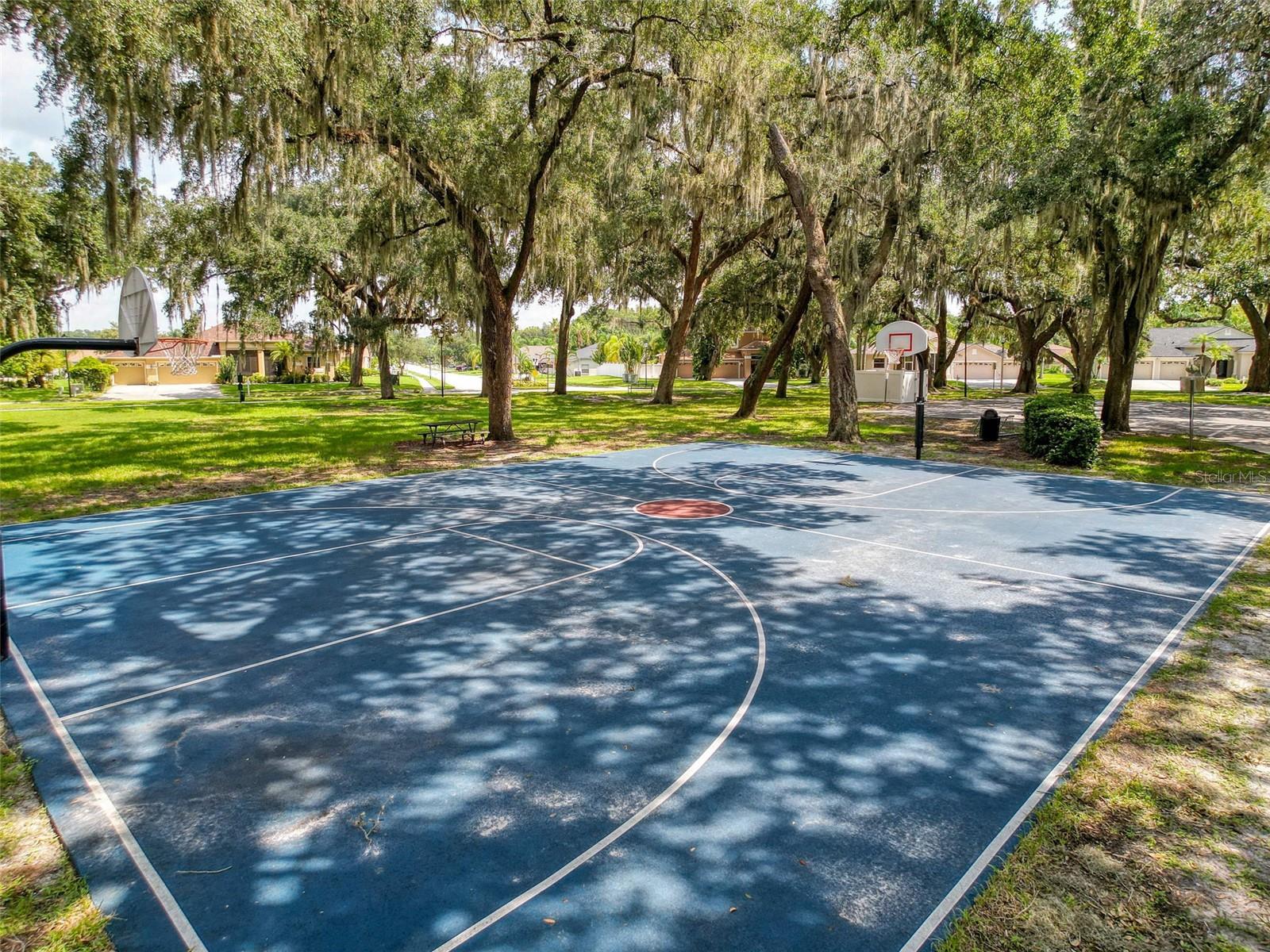 3327 GOLDEN EAGLE DR, LAND O LAKES, FL, 34639