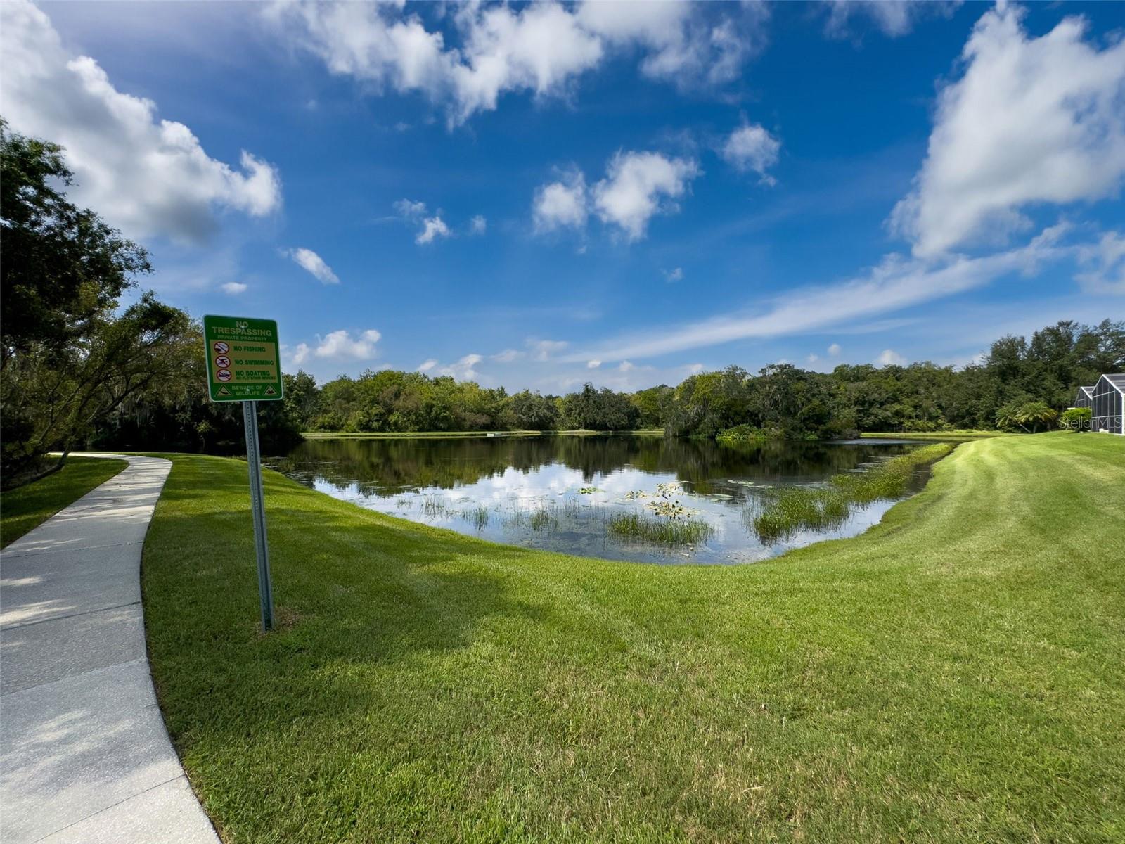 3327 GOLDEN EAGLE DR, LAND O LAKES, FL, 34639