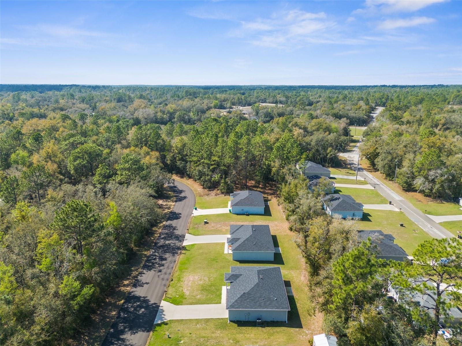9386 N ASHBURY DR, CITRUS SPRINGS, FL, 34434