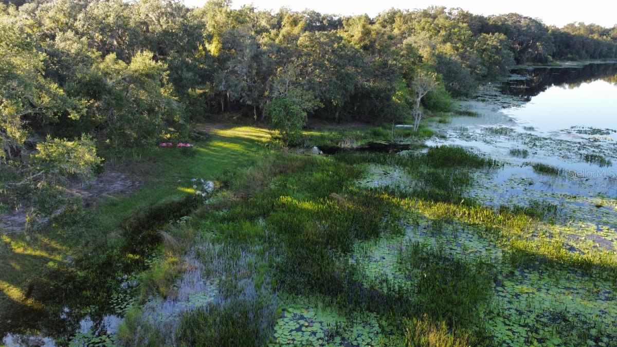 11990 SE 112TH AVENUE RD, BELLEVIEW, FL, 34420