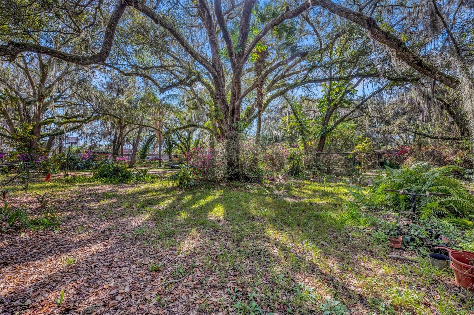 3508 ROUSE RD, ORLANDO, FL, 32817