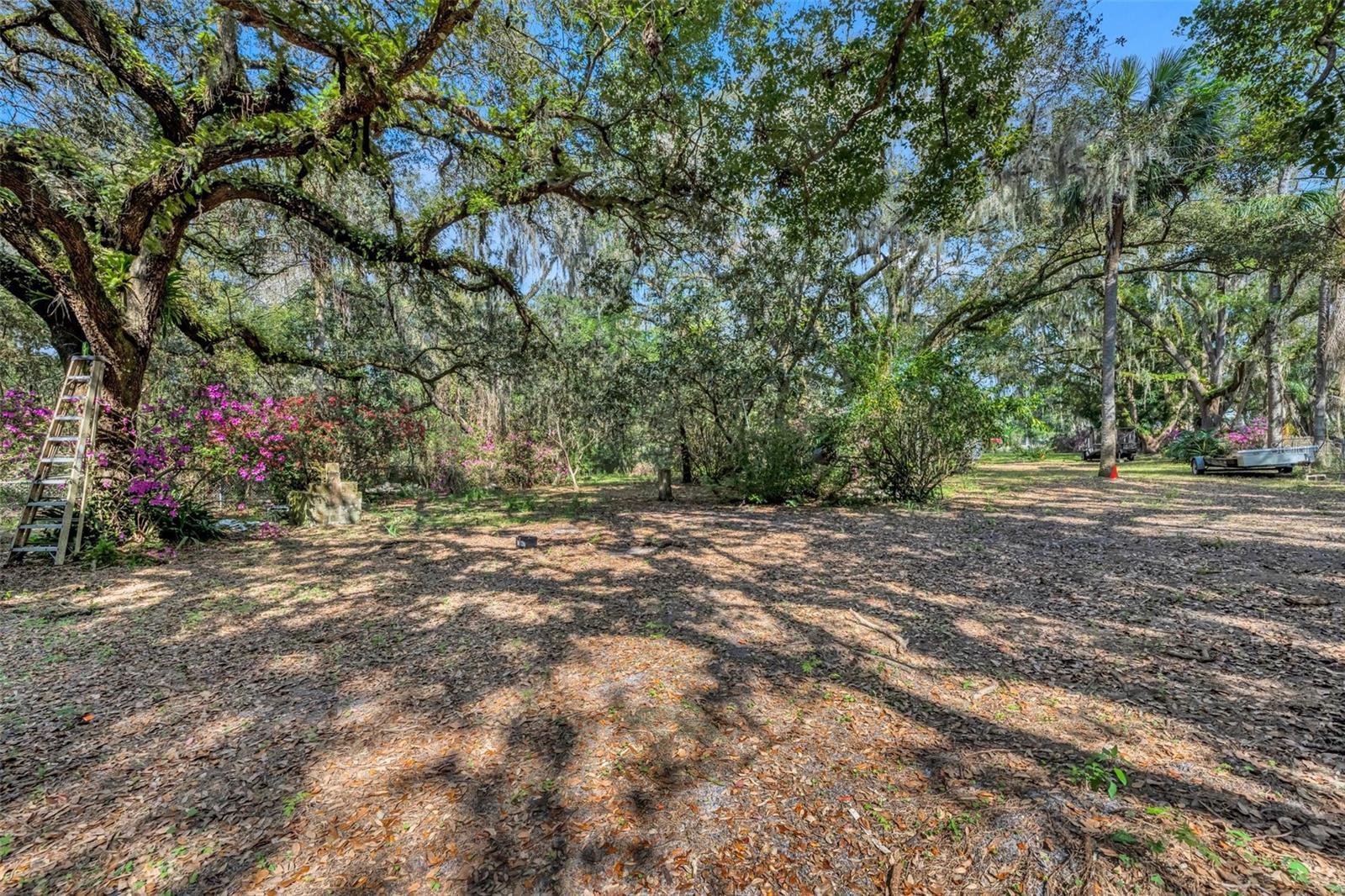 3508 ROUSE RD, ORLANDO, FL, 32817