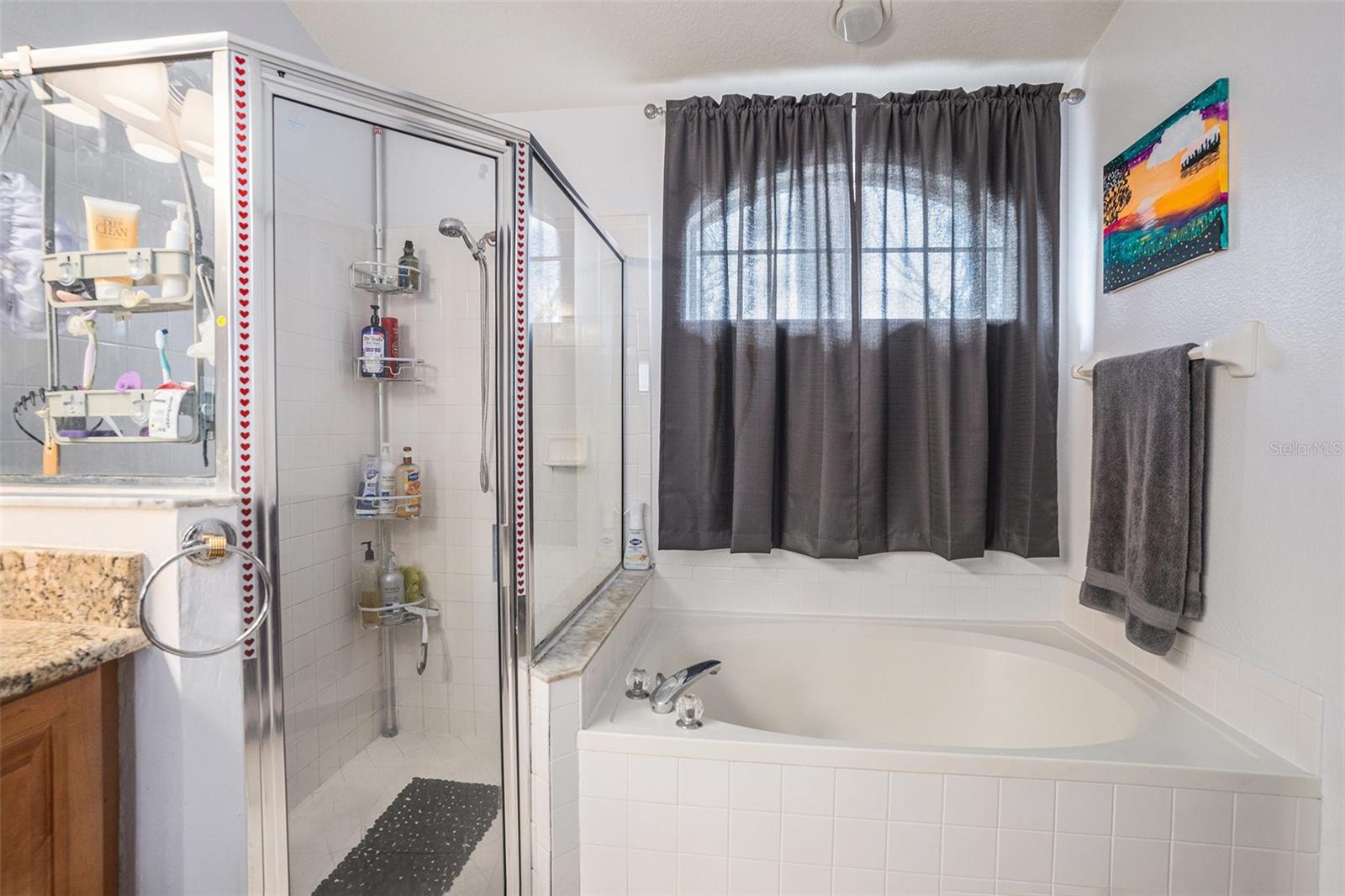 1647 LEDGESTONE DR, BRANDON, FL, 33511