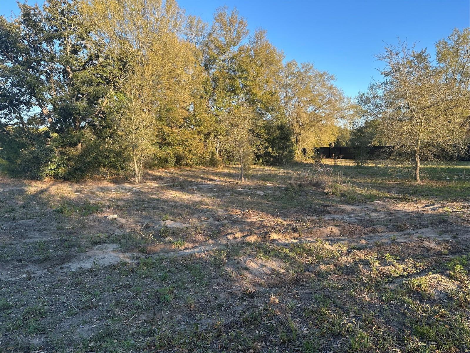 LOT 5 & 6 SW 107TH  STREET, DUNNELLON, FL, 34432