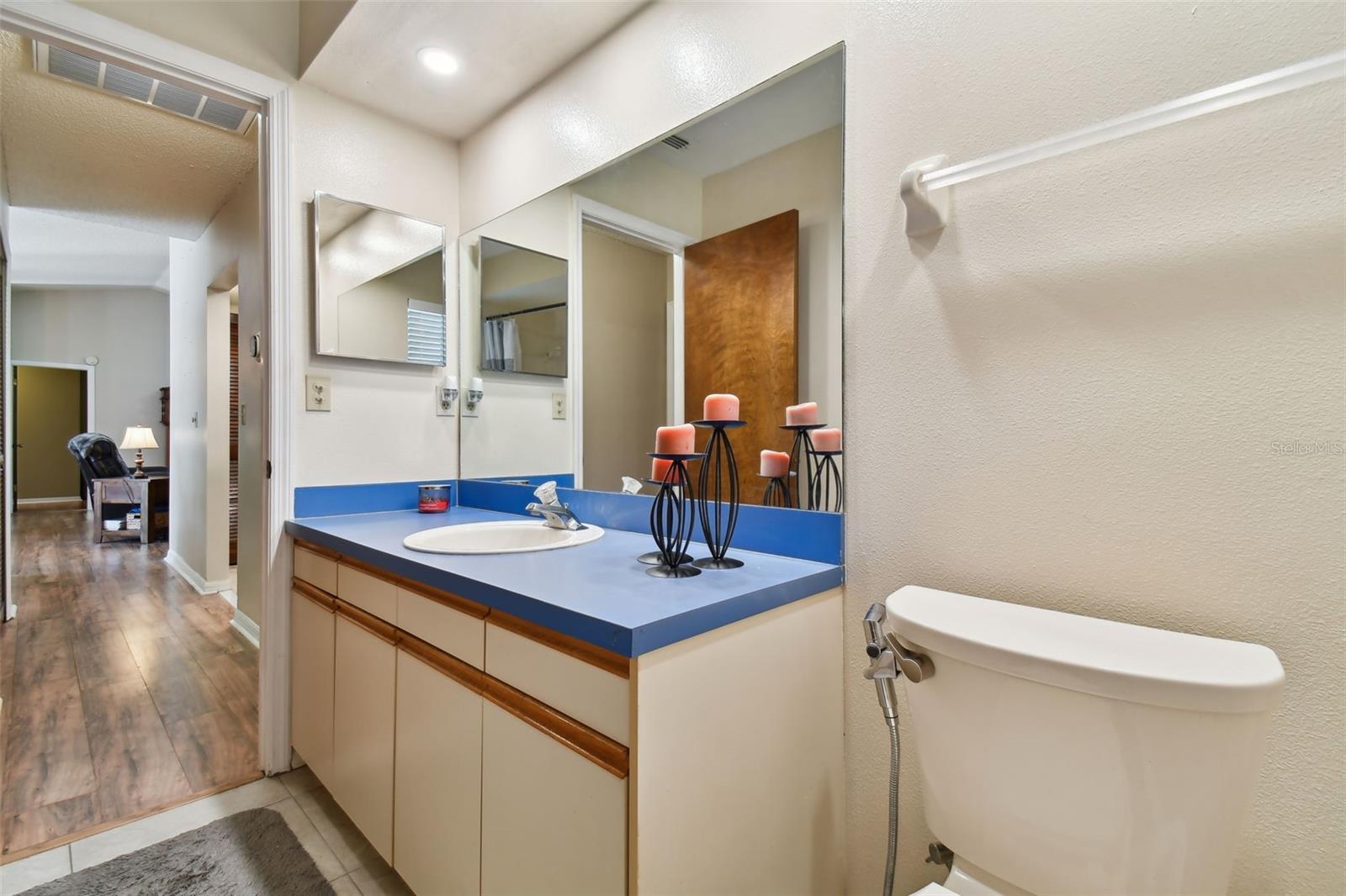 3273 BLUESTONE AVE, SPRING HILL, FL, 34609