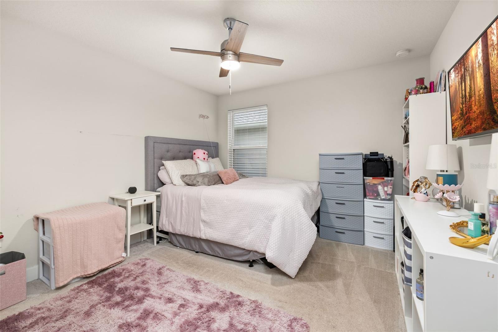5685 SURPRISE LILY DR, WINTER GARDEN, FL, 34787