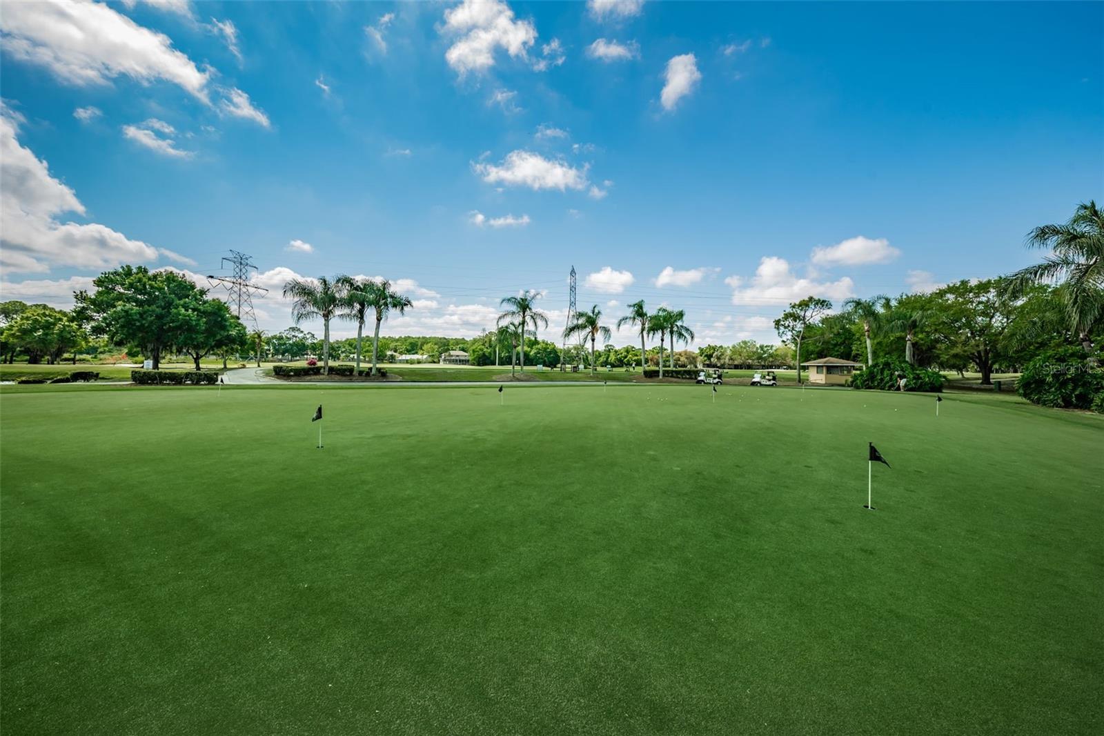 4906 TURTLE CREEK TRL, OLDSMAR, FL, 34677