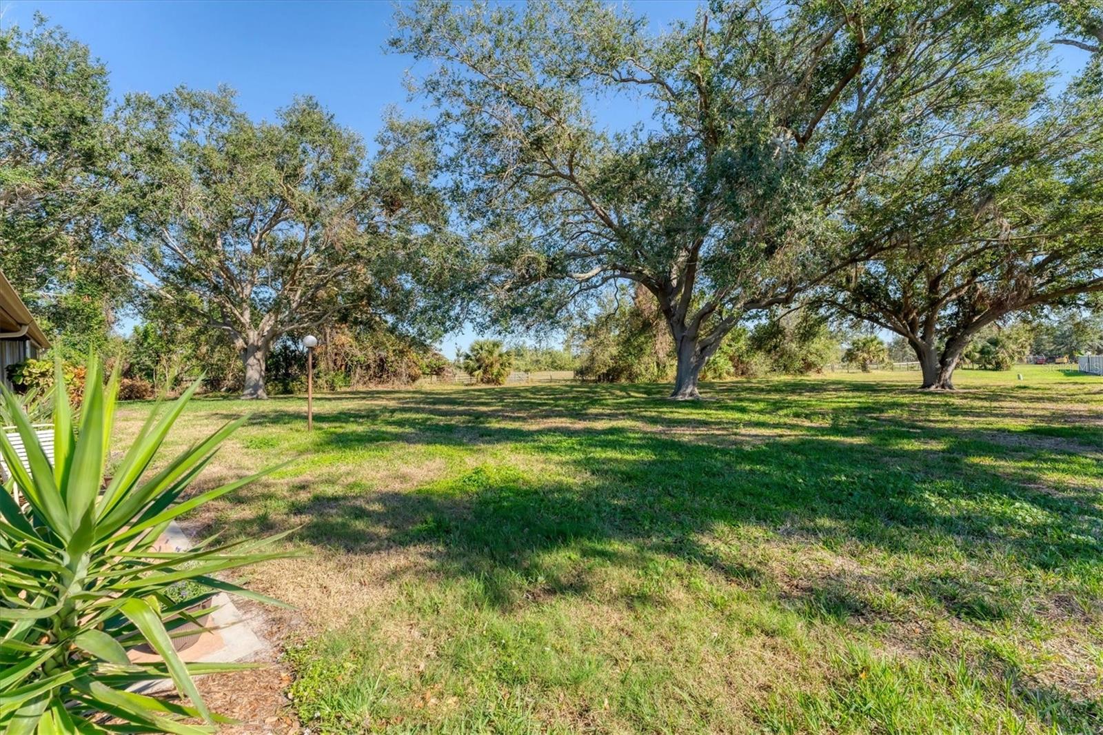 1809 CURRY TRL #20, NOKOMIS, FL, 34275