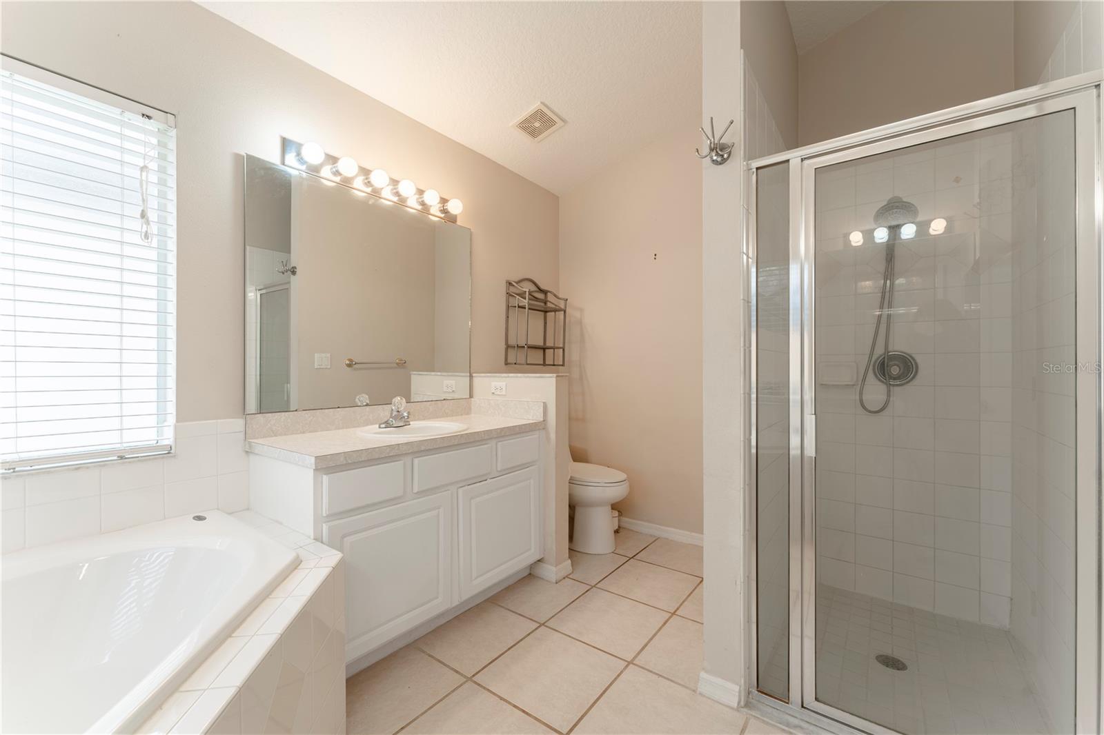17343 SUMMER OAK LN, CLERMONT, FL, 34711