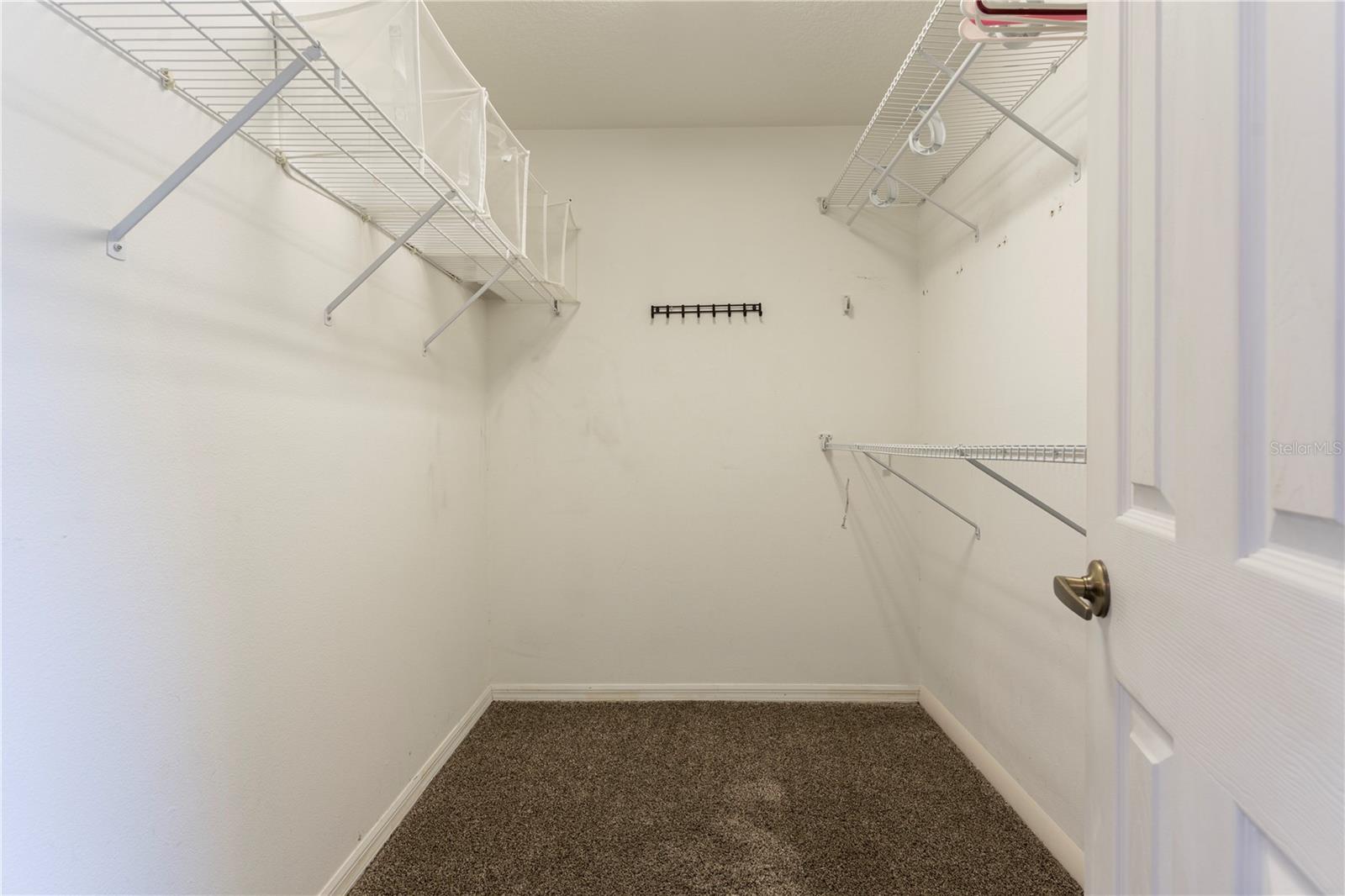 17343 SUMMER OAK LN, CLERMONT, FL, 34711
