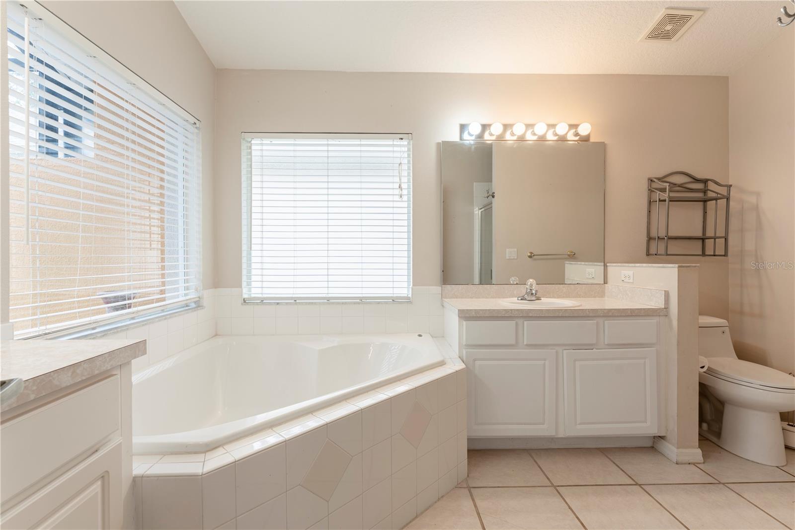 17343 SUMMER OAK LN, CLERMONT, FL, 34711