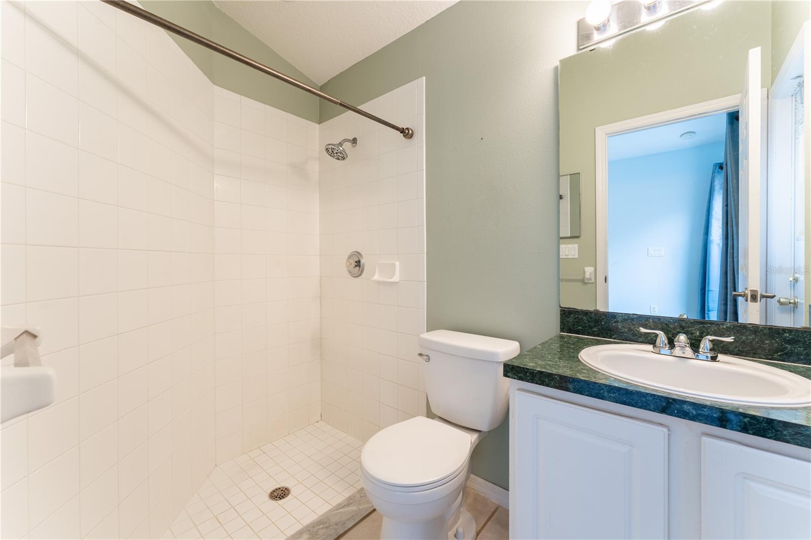 17343 SUMMER OAK LN, CLERMONT, FL, 34711