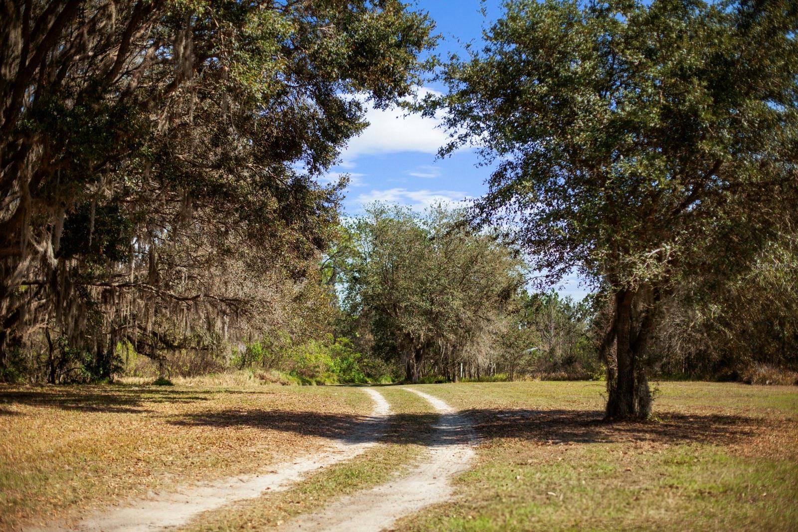 8122 PINE ISLAND RD, CLERMONT, FL, 34711