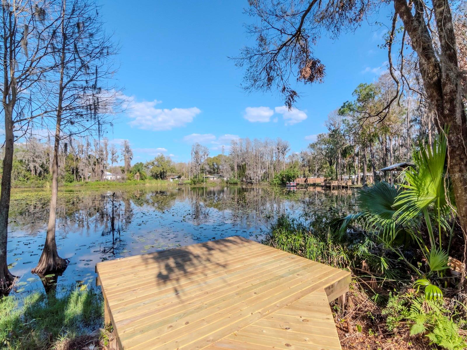 17009 PAULA LN, LUTZ, FL, 33558
