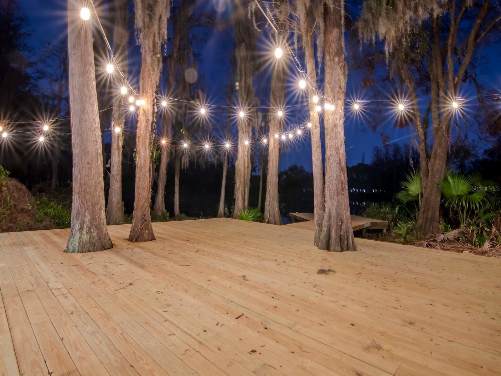 17009 PAULA LN, LUTZ, FL, 33558