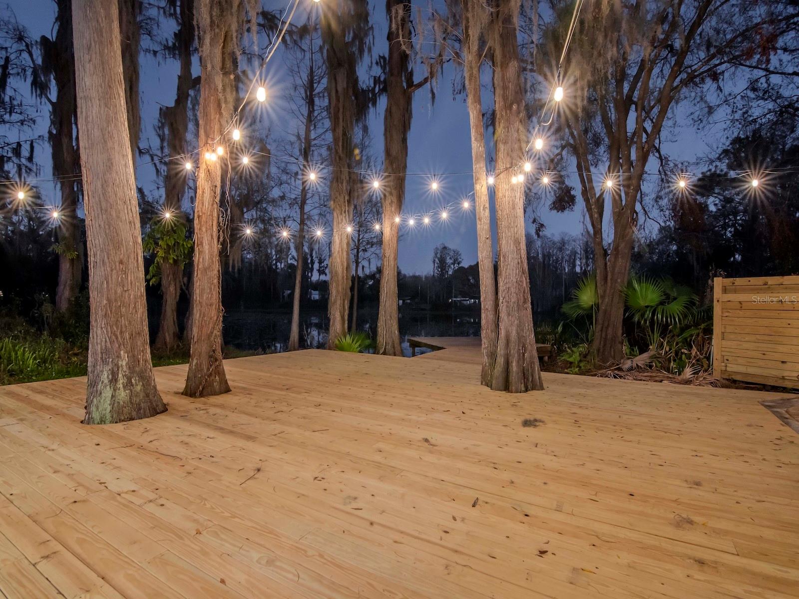 17009 PAULA LN, LUTZ, FL, 33558