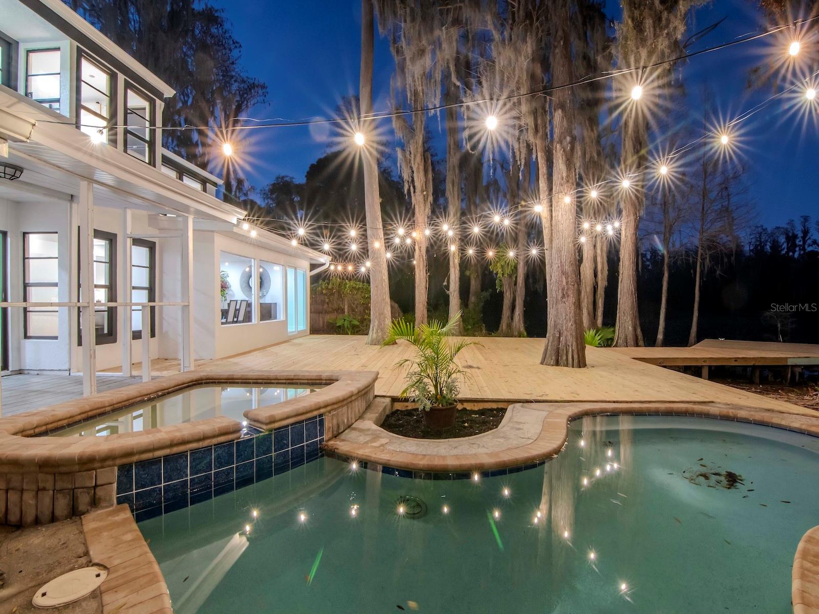17009 PAULA LN, LUTZ, FL, 33558