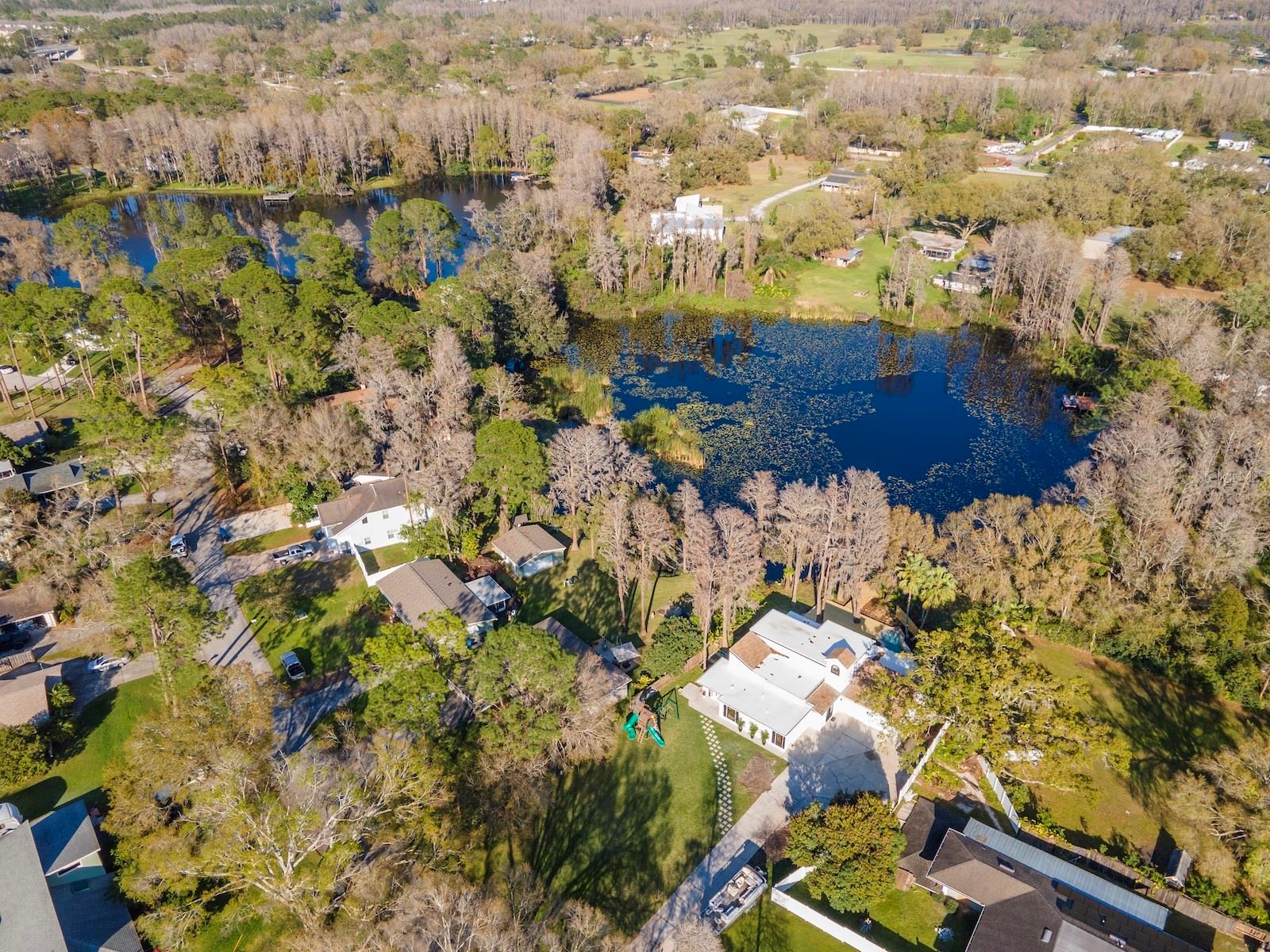 17009 PAULA LN, LUTZ, FL, 33558