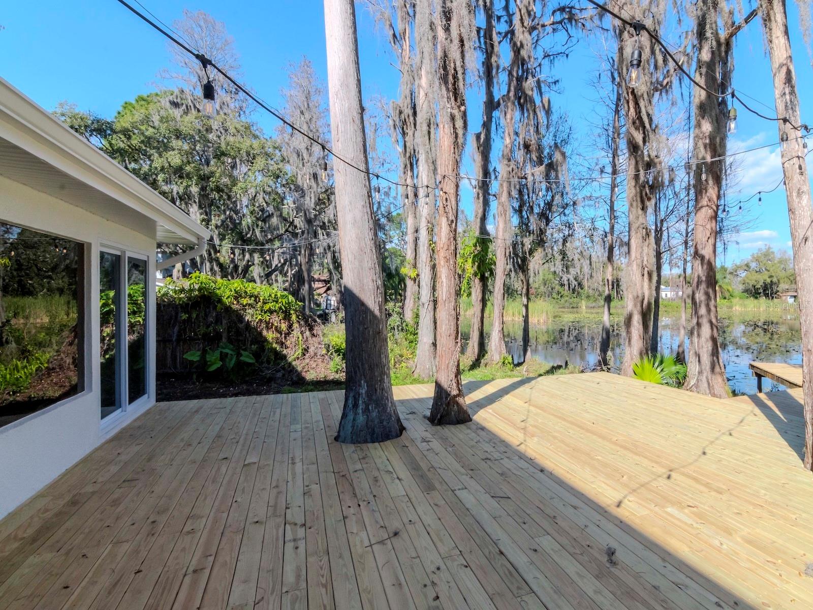 17009 PAULA LN, LUTZ, FL, 33558