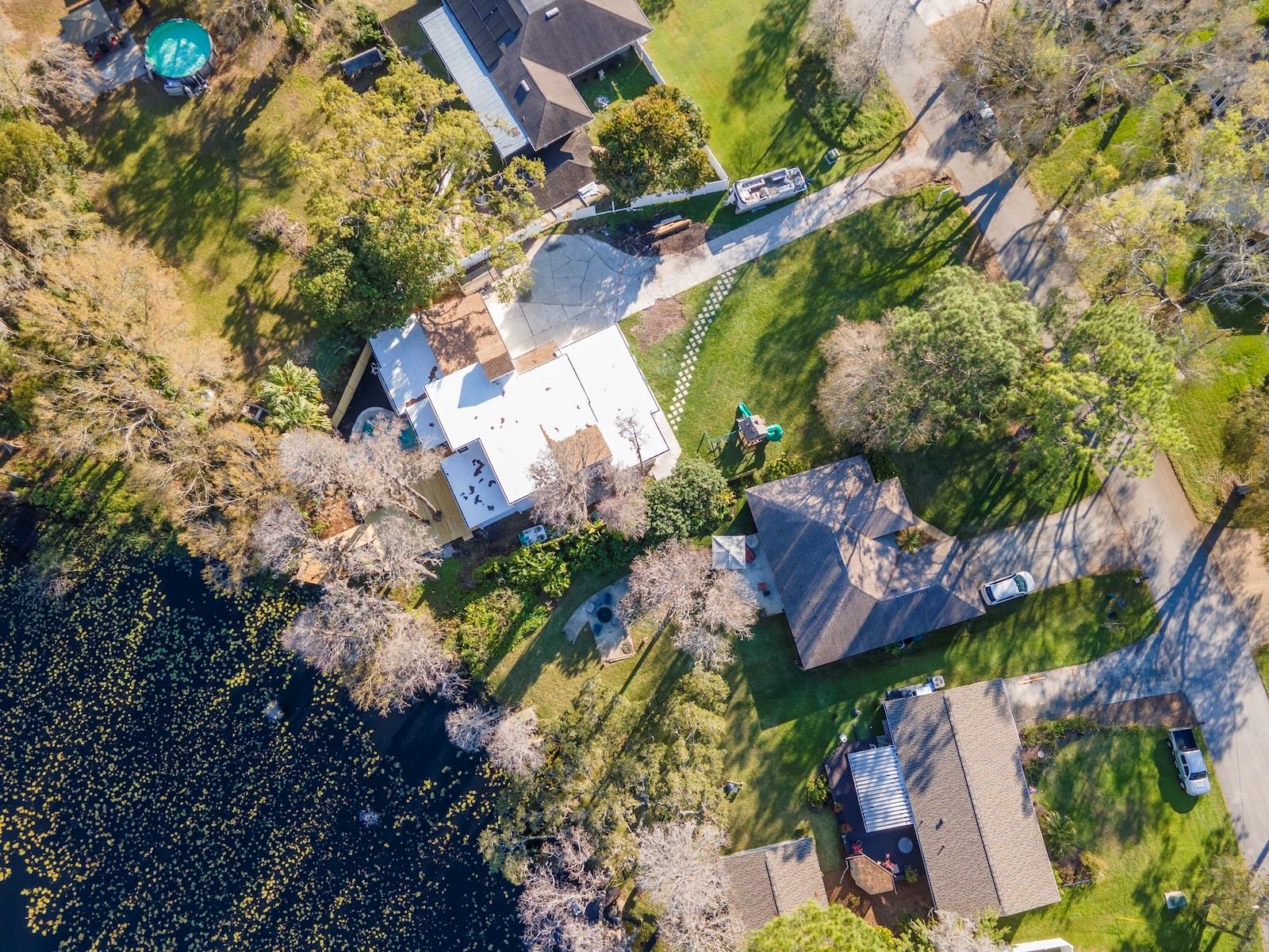 17009 PAULA LN, LUTZ, FL, 33558
