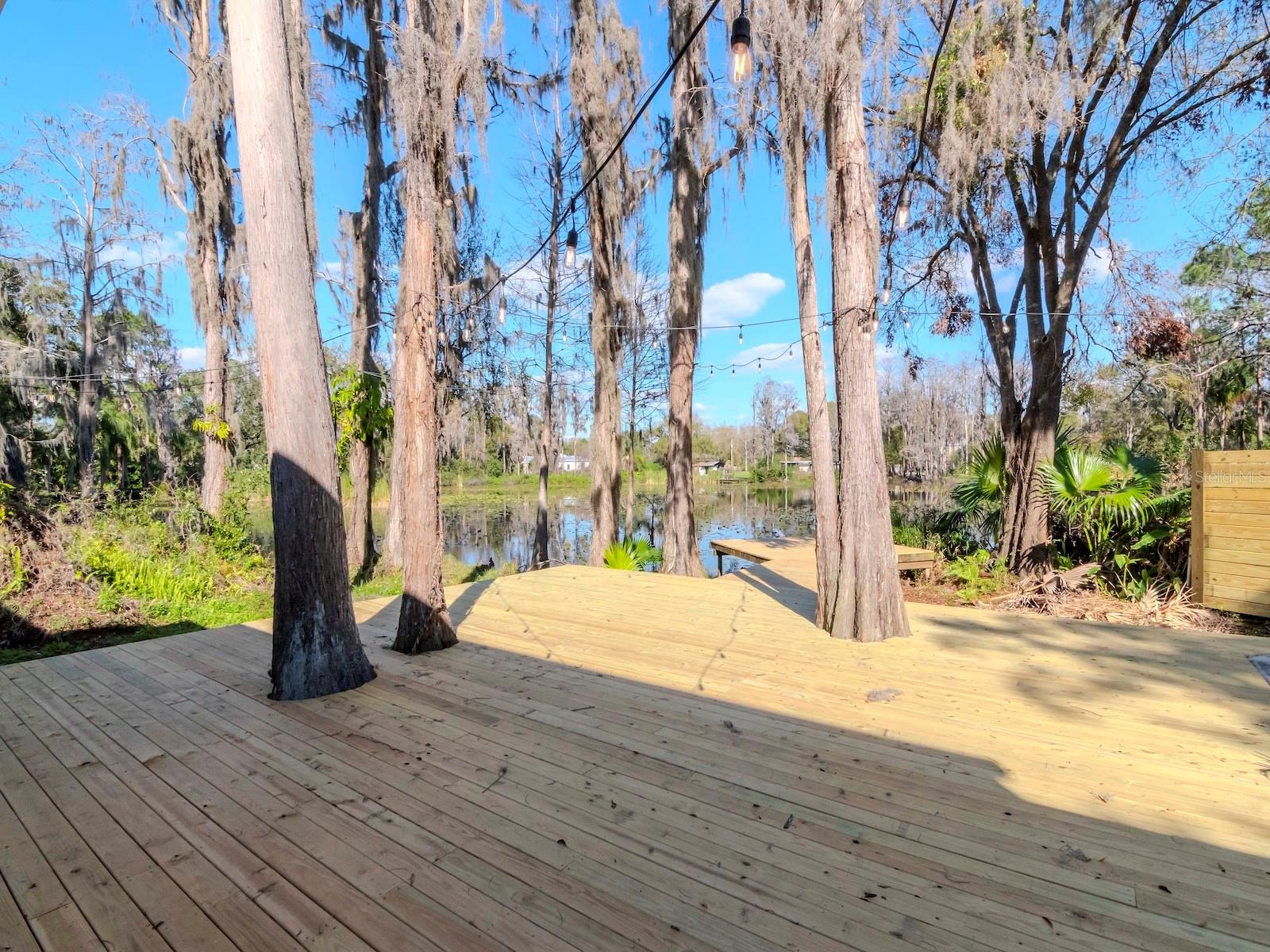 17009 PAULA LN, LUTZ, FL, 33558