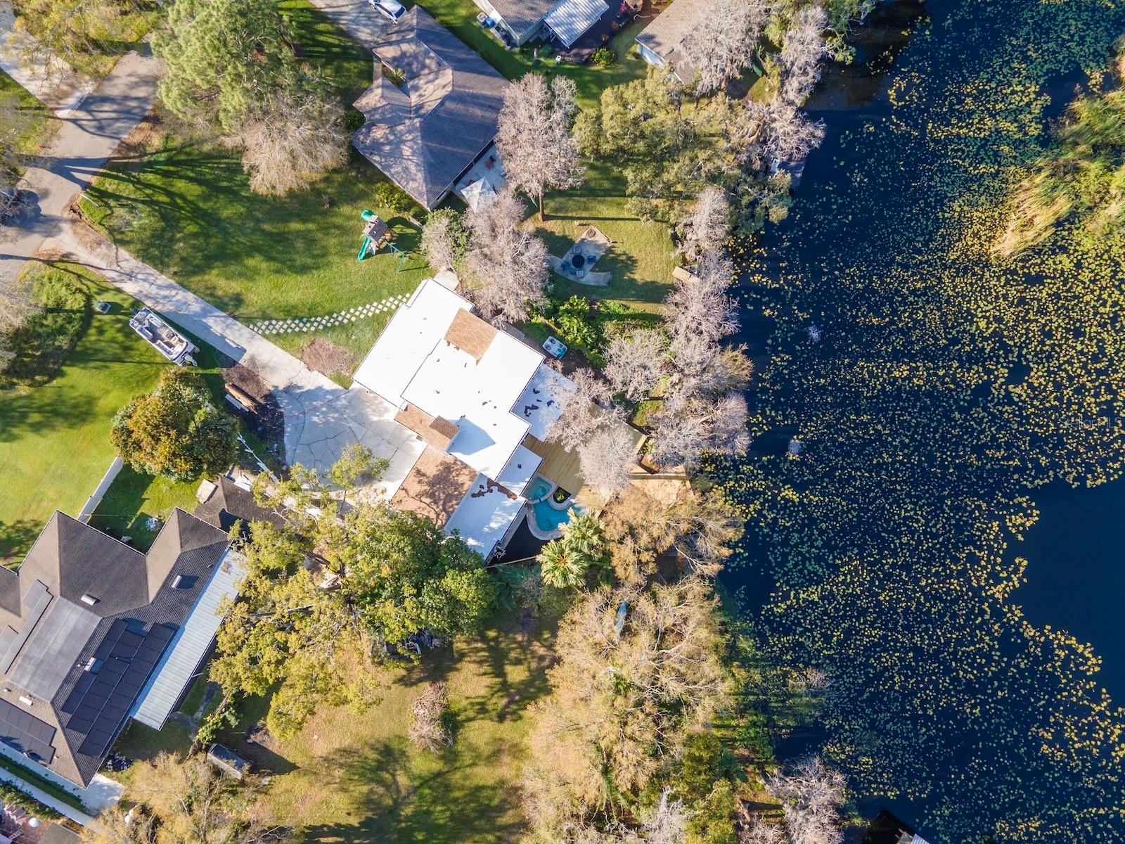 17009 PAULA LN, LUTZ, FL, 33558