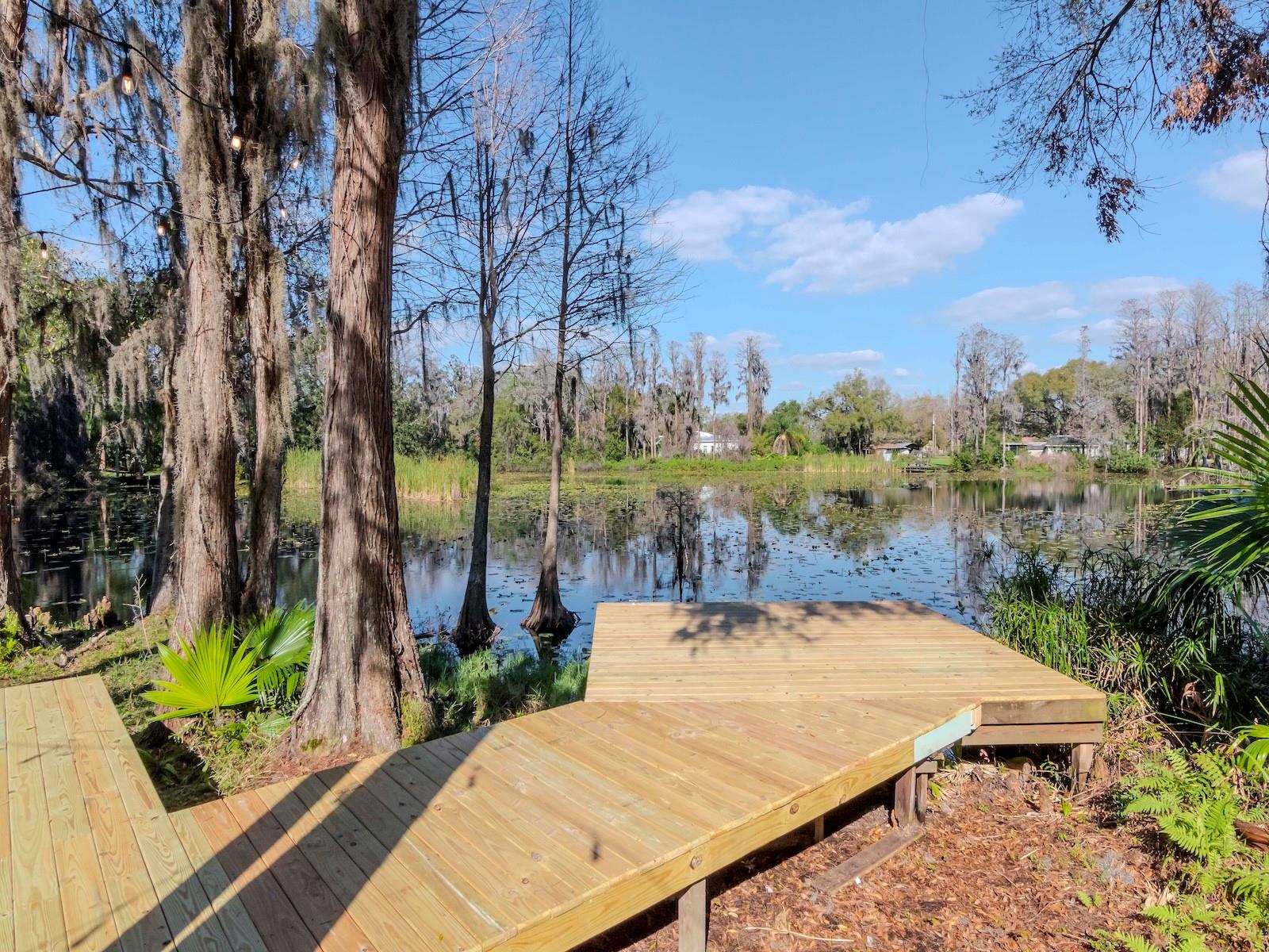 17009 PAULA LN, LUTZ, FL, 33558