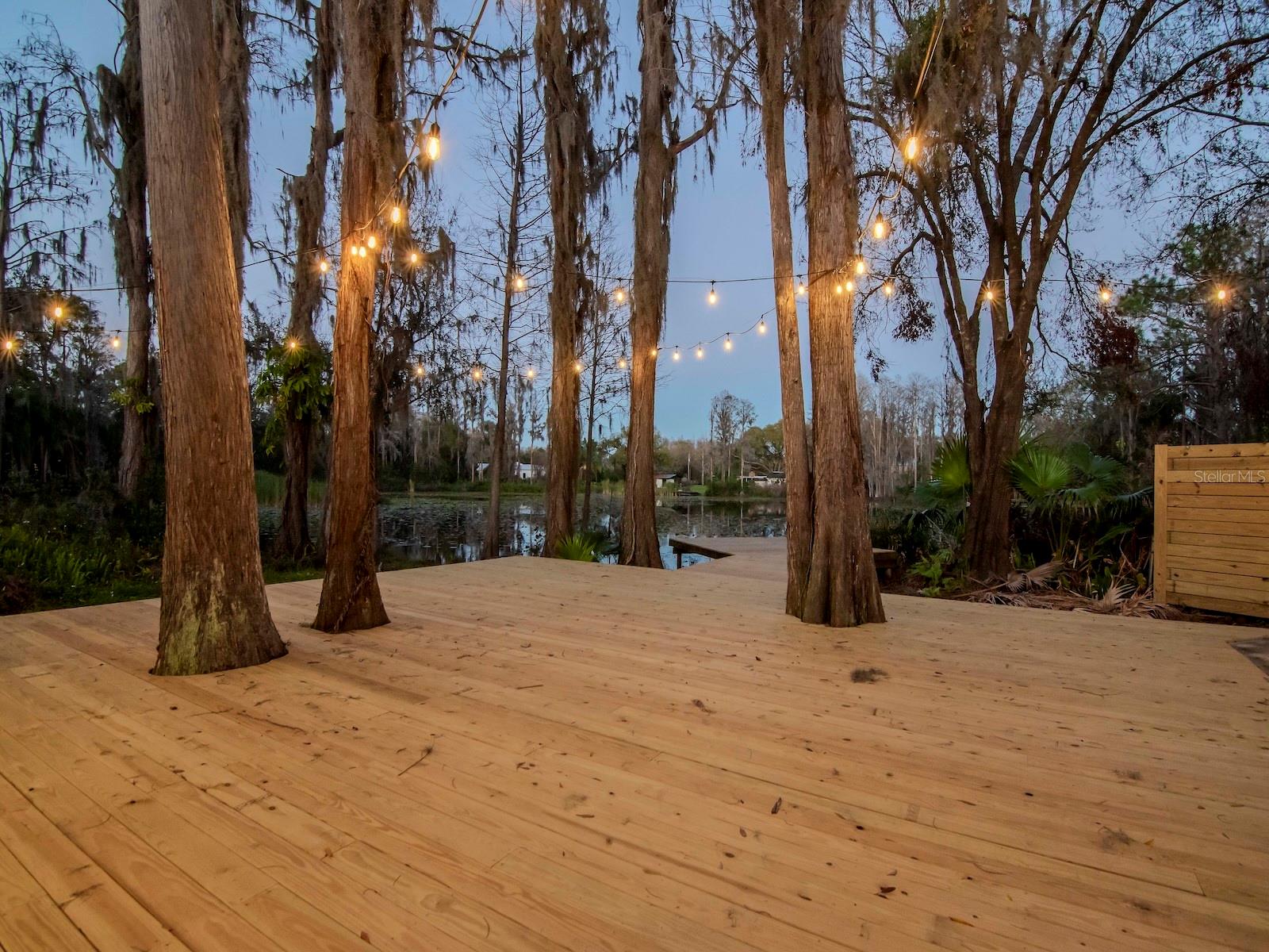 17009 PAULA LN, LUTZ, FL, 33558
