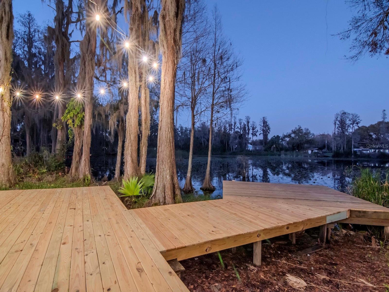 17009 PAULA LN, LUTZ, FL, 33558