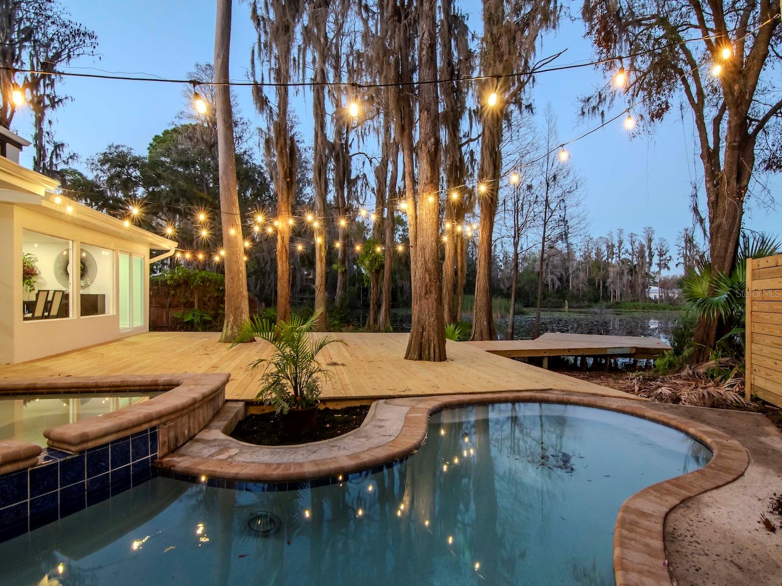 17009 PAULA LN, LUTZ, FL, 33558