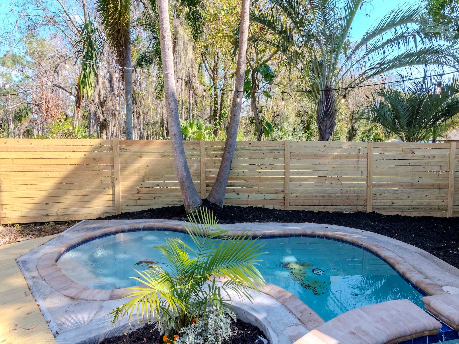 17009 PAULA LN, LUTZ, FL, 33558