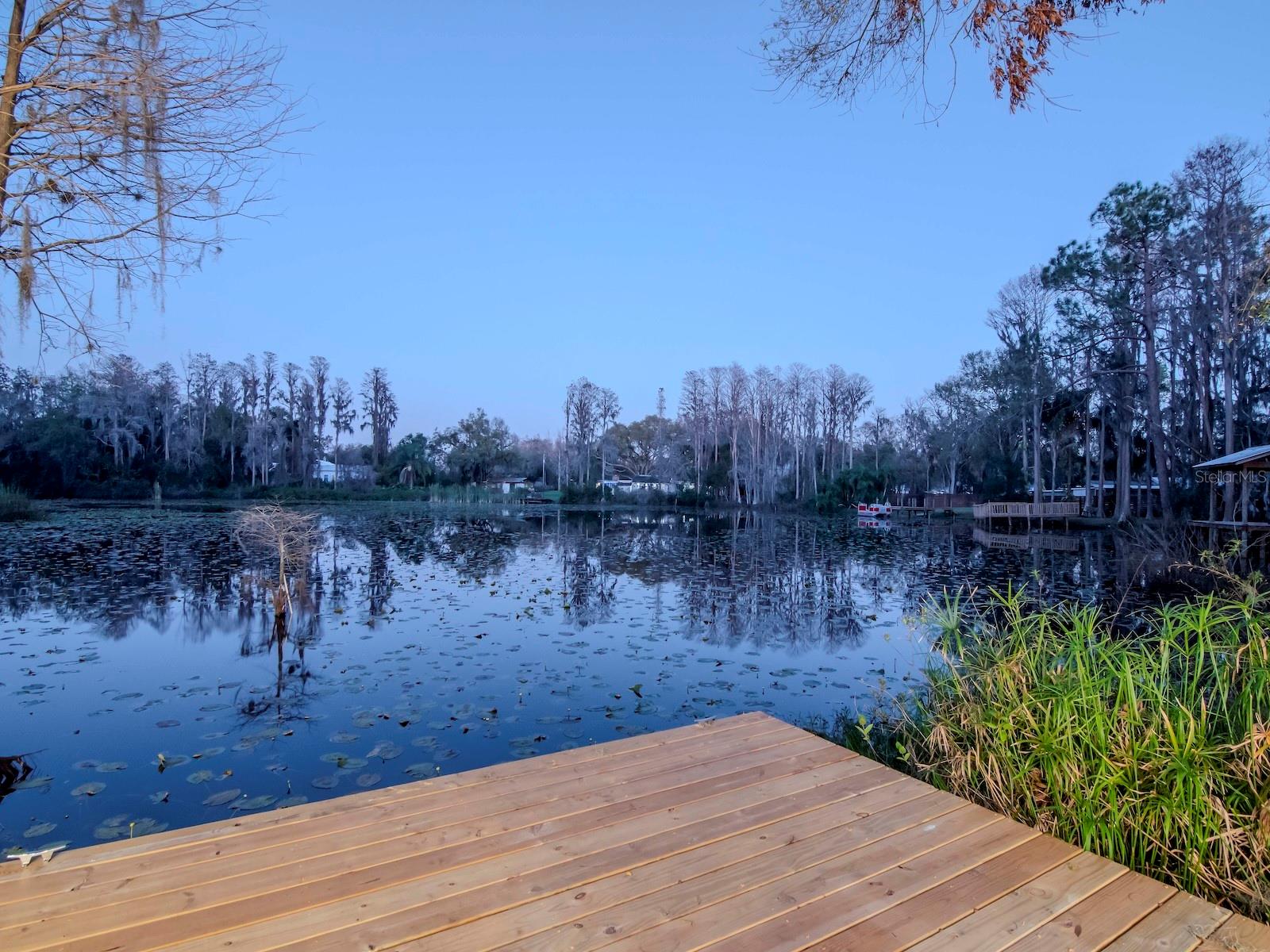 17009 PAULA LN, LUTZ, FL, 33558