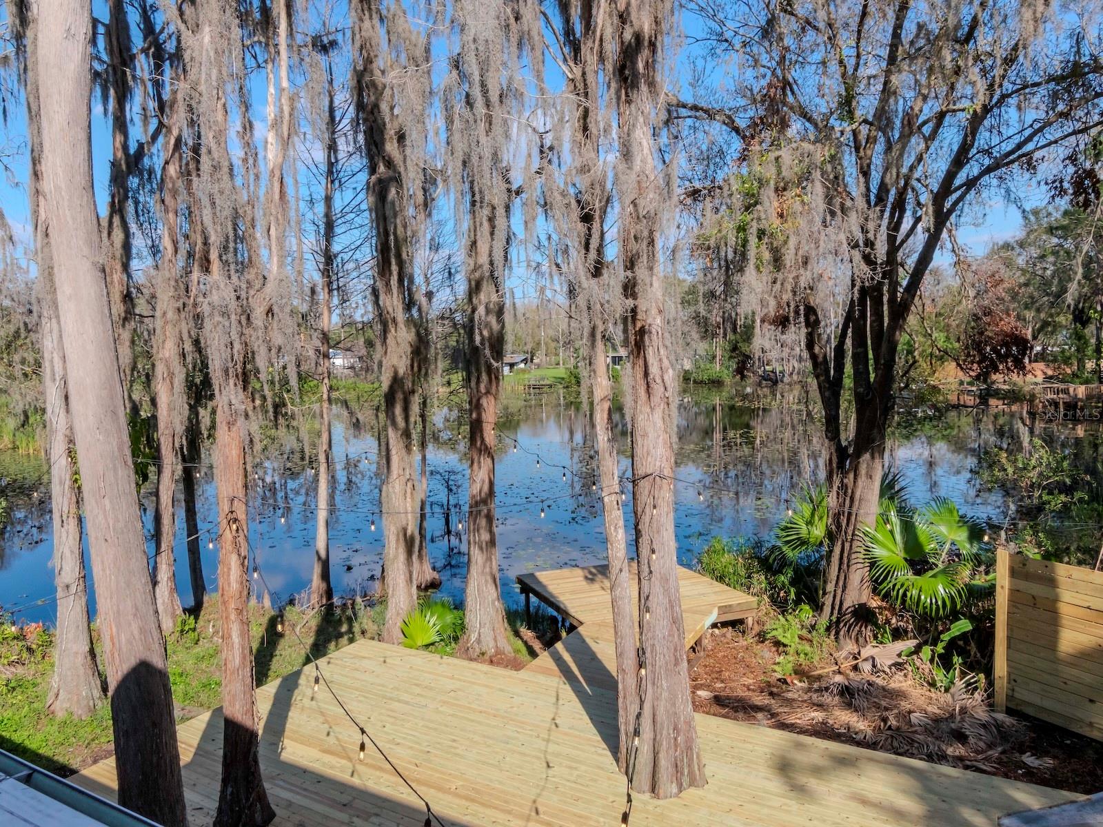 17009 PAULA LN, LUTZ, FL, 33558