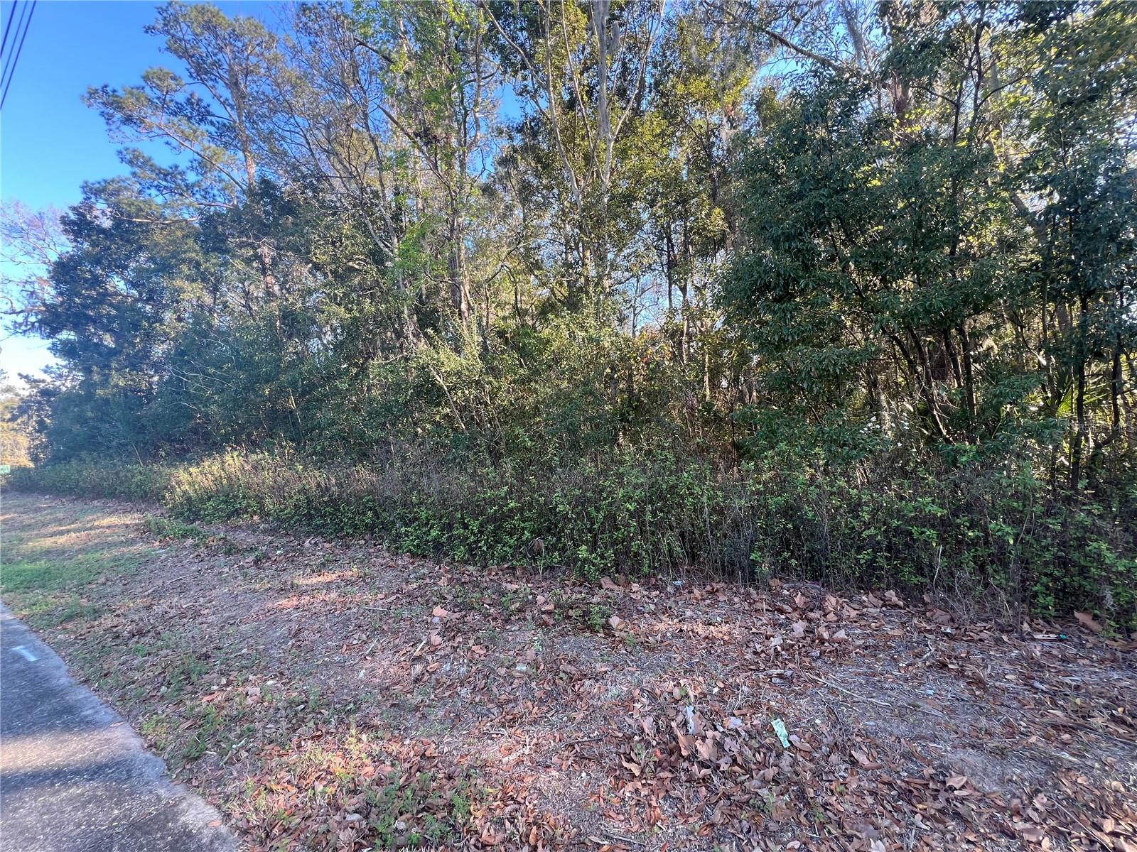 NE 14TH ST, OCALA, FL, 34470