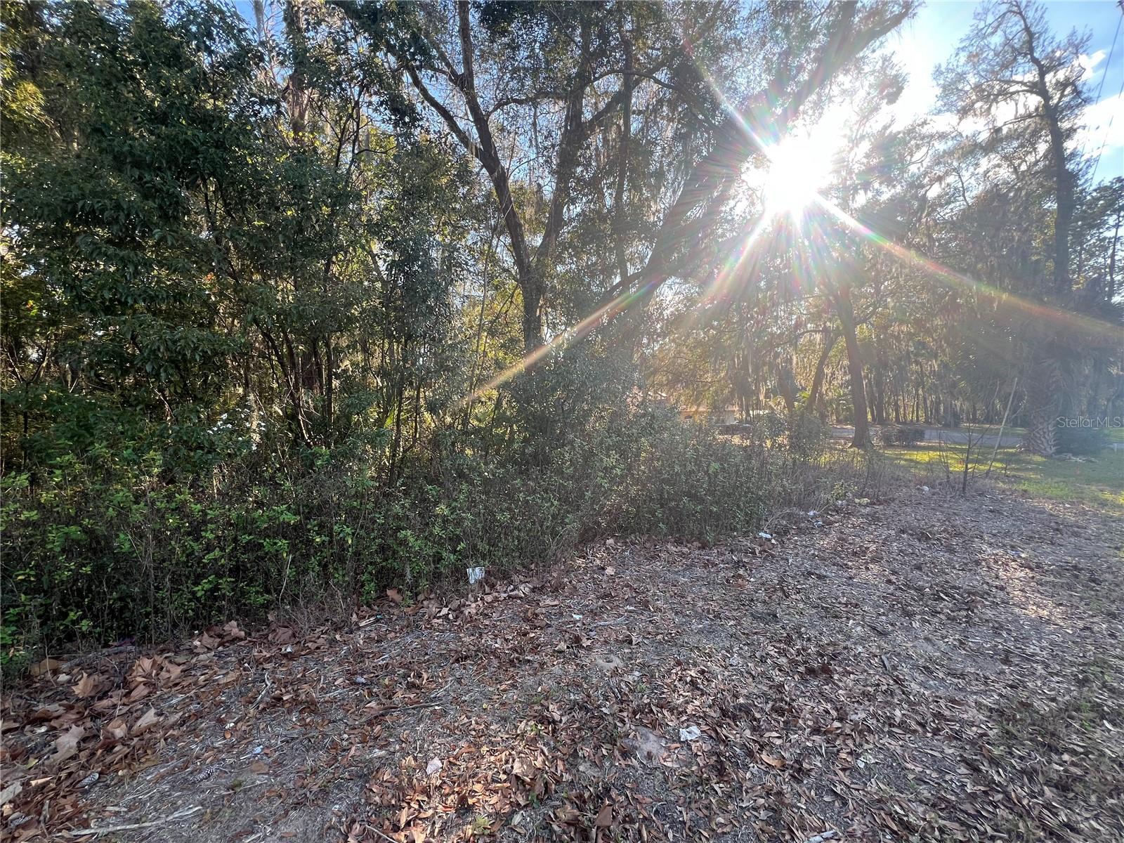 NE 14TH ST, OCALA, FL, 34470