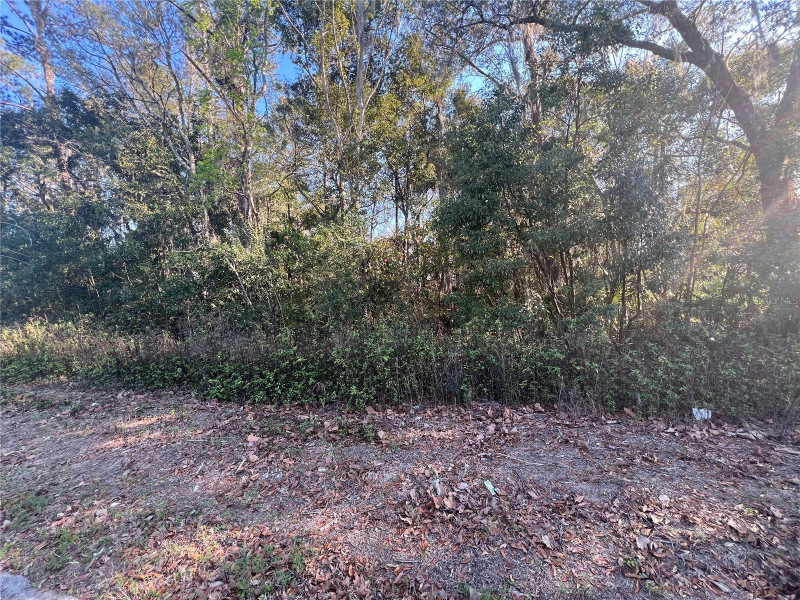 NE 14TH ST, OCALA, FL, 34470