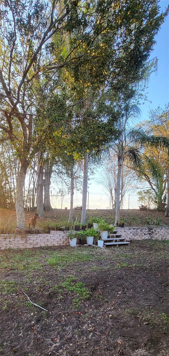 272 LOMA BONITA DR, DAVENPORT, FL, 33837