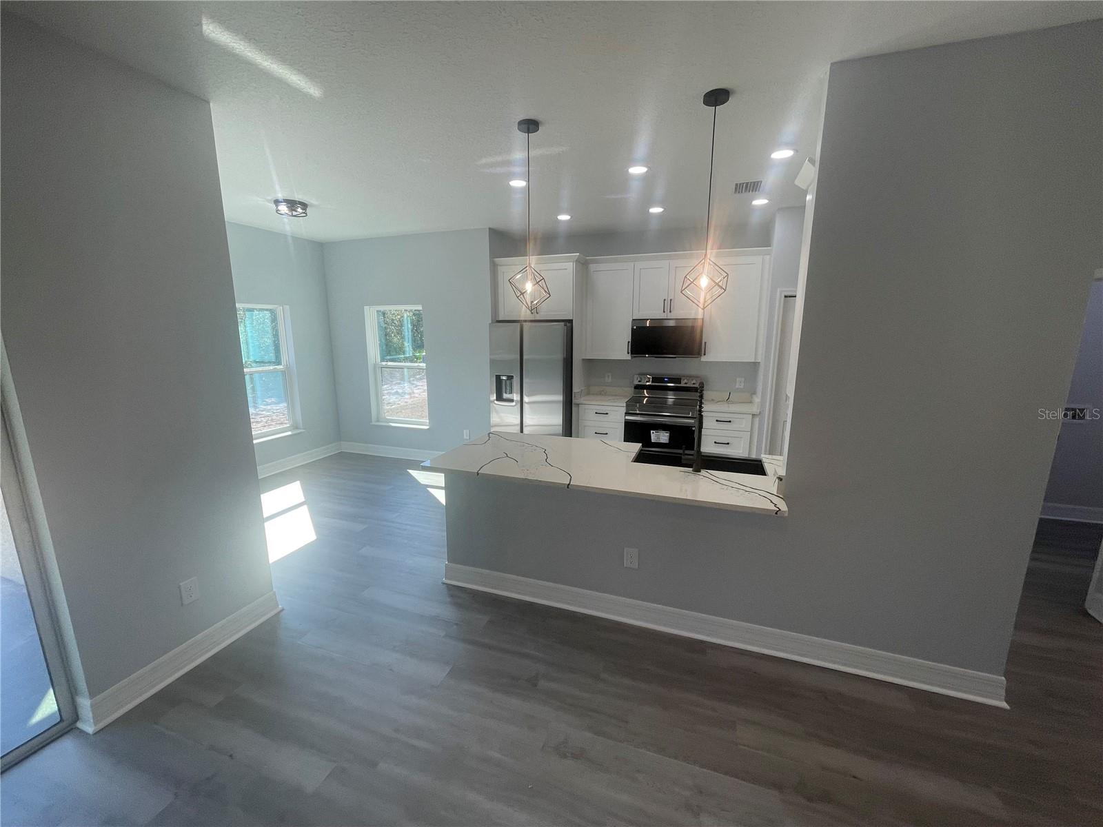 8204 CHIMNEY ROCK DR, WEBSTER, FL, 33597
