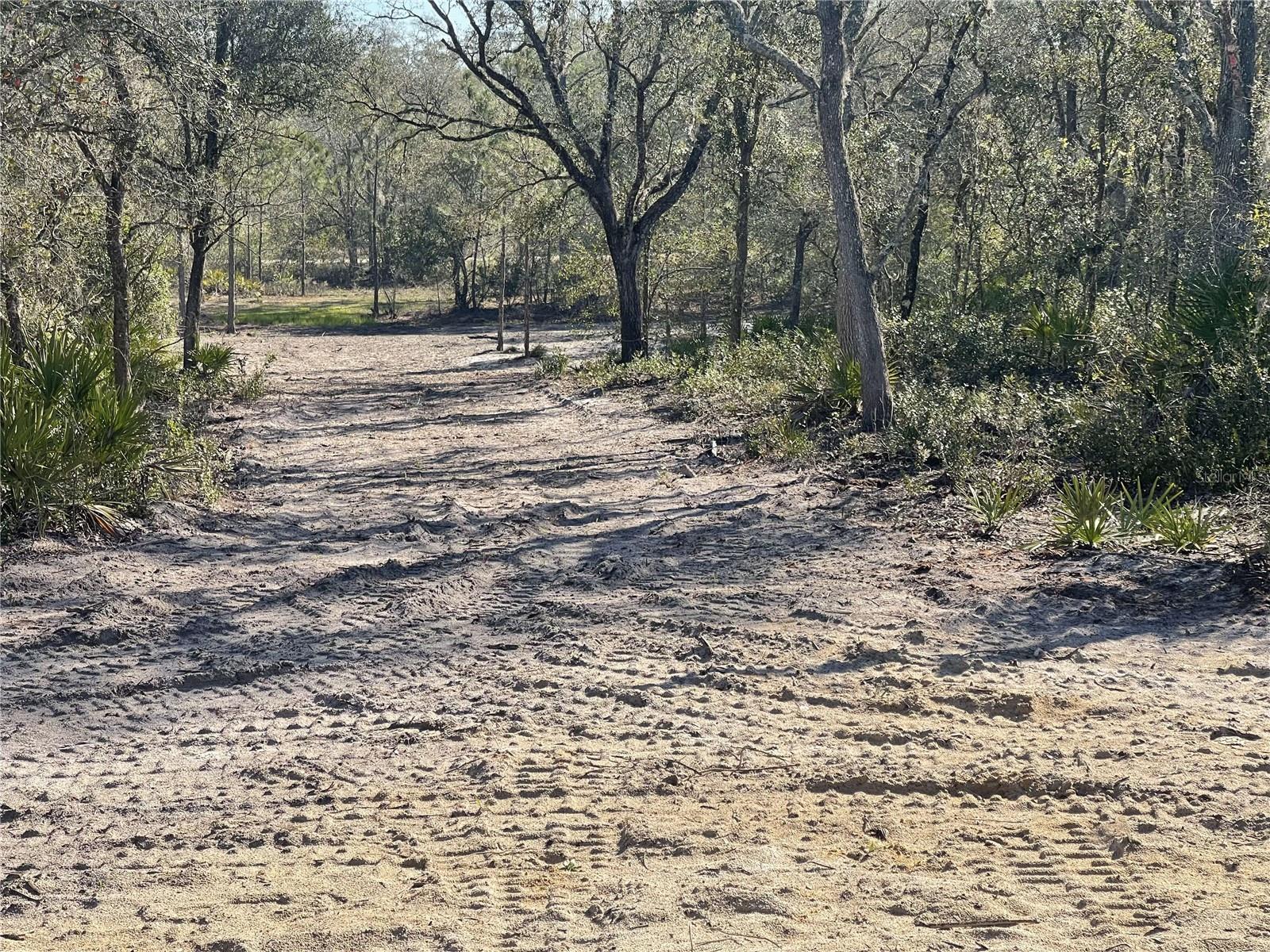 8204 CHIMNEY ROCK DR, WEBSTER, FL, 33597