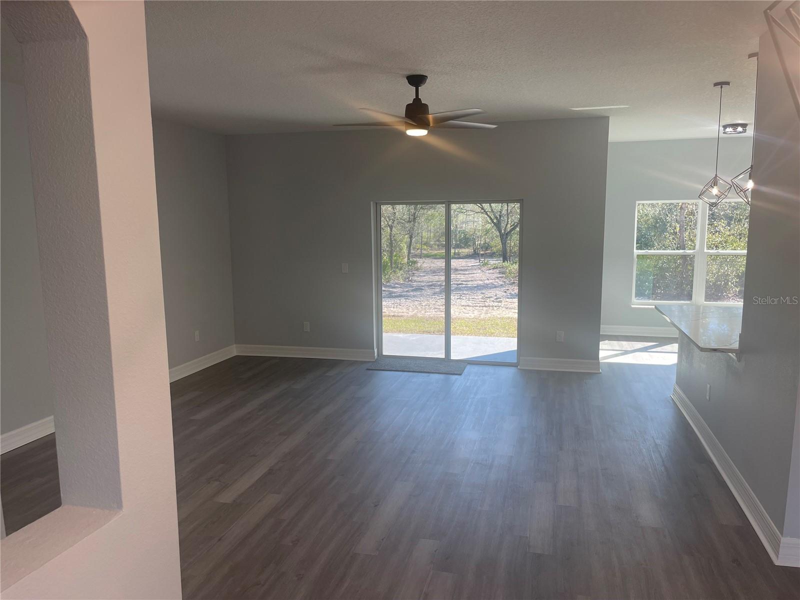8204 CHIMNEY ROCK DR, WEBSTER, FL, 33597