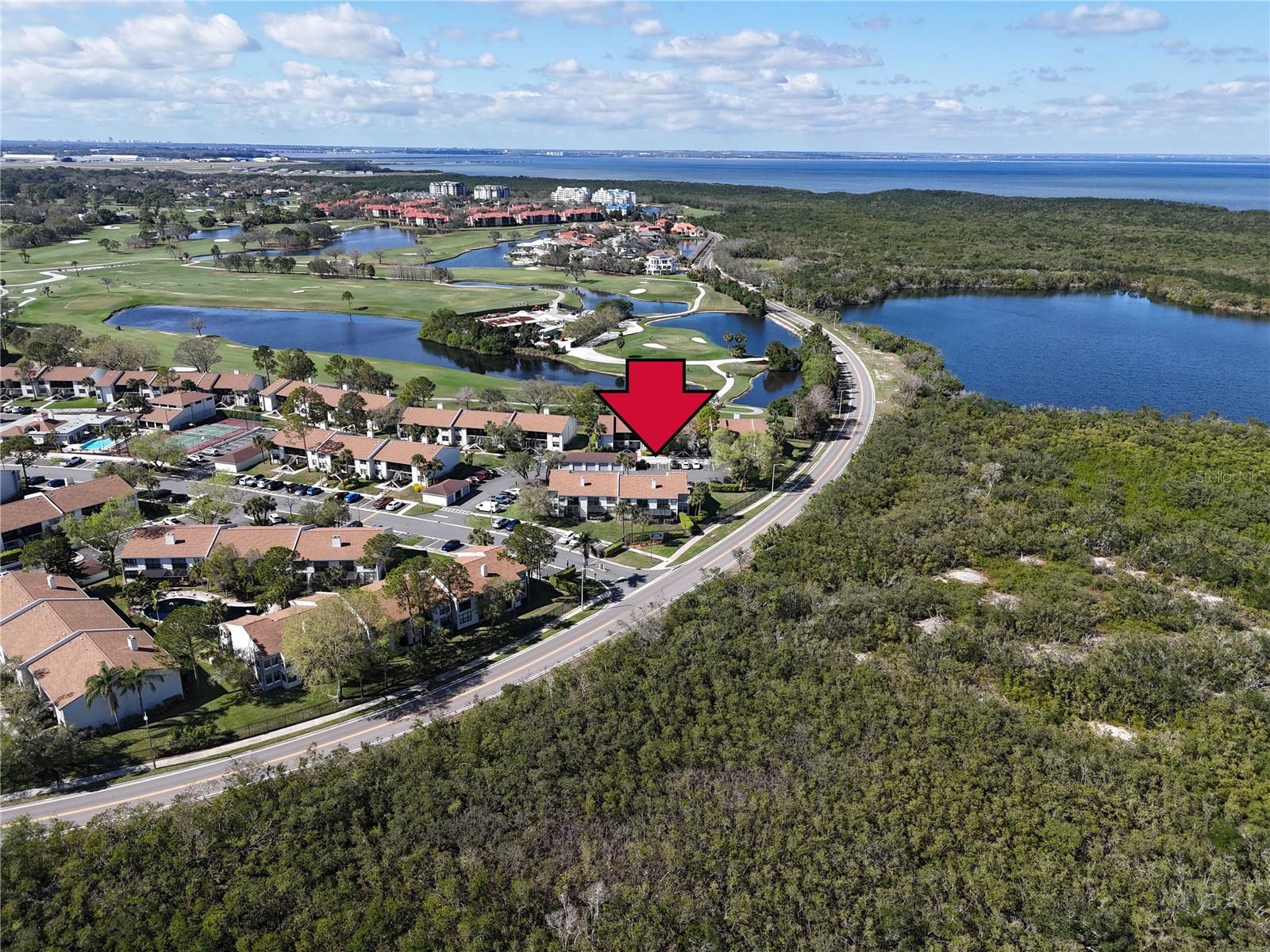 1905 OYSTER CATCHER LN #911, CLEARWATER, FL, 33762