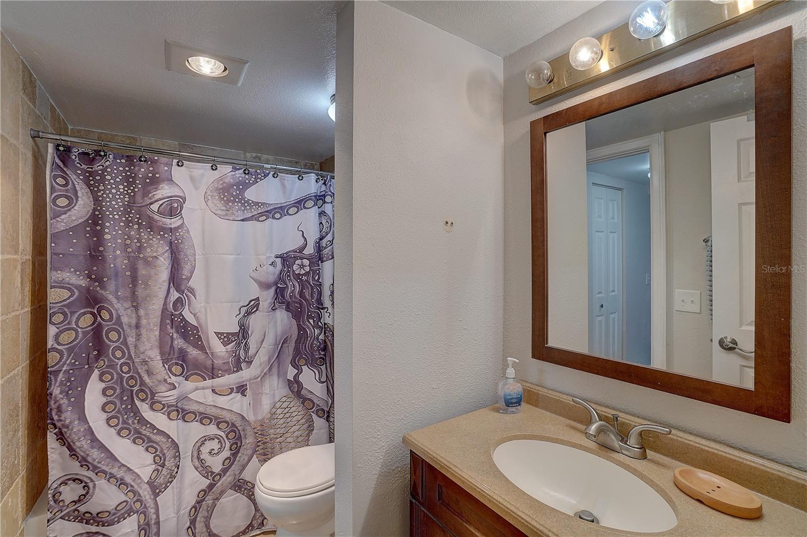 1905 OYSTER CATCHER LN #911, CLEARWATER, FL, 33762