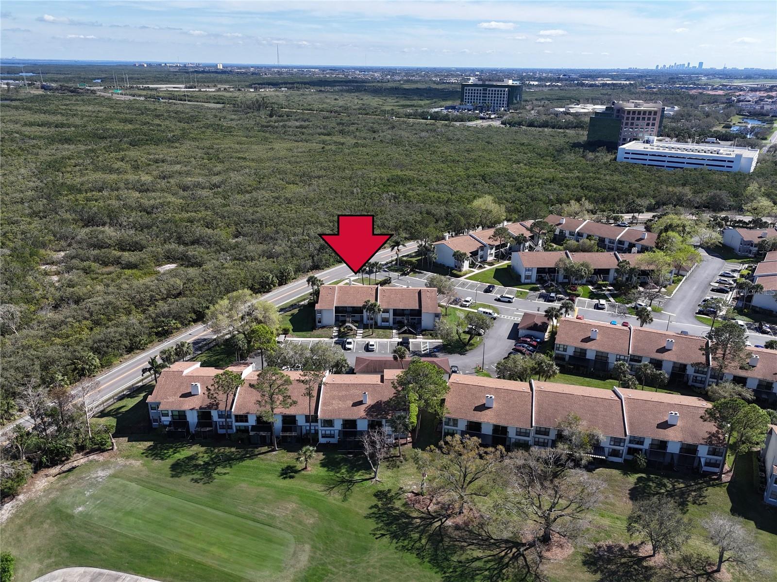 1905 OYSTER CATCHER LN #911, CLEARWATER, FL, 33762