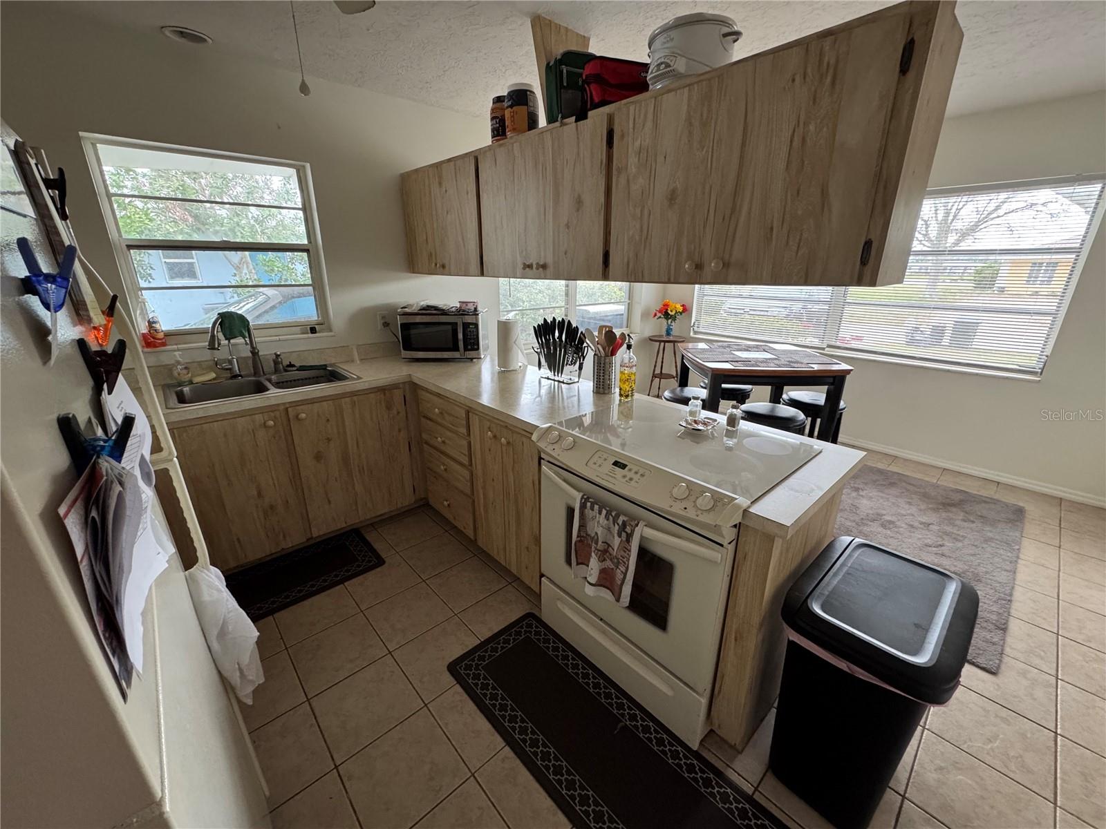 309 HAMMOCK TER, VENICE, FL, 34293