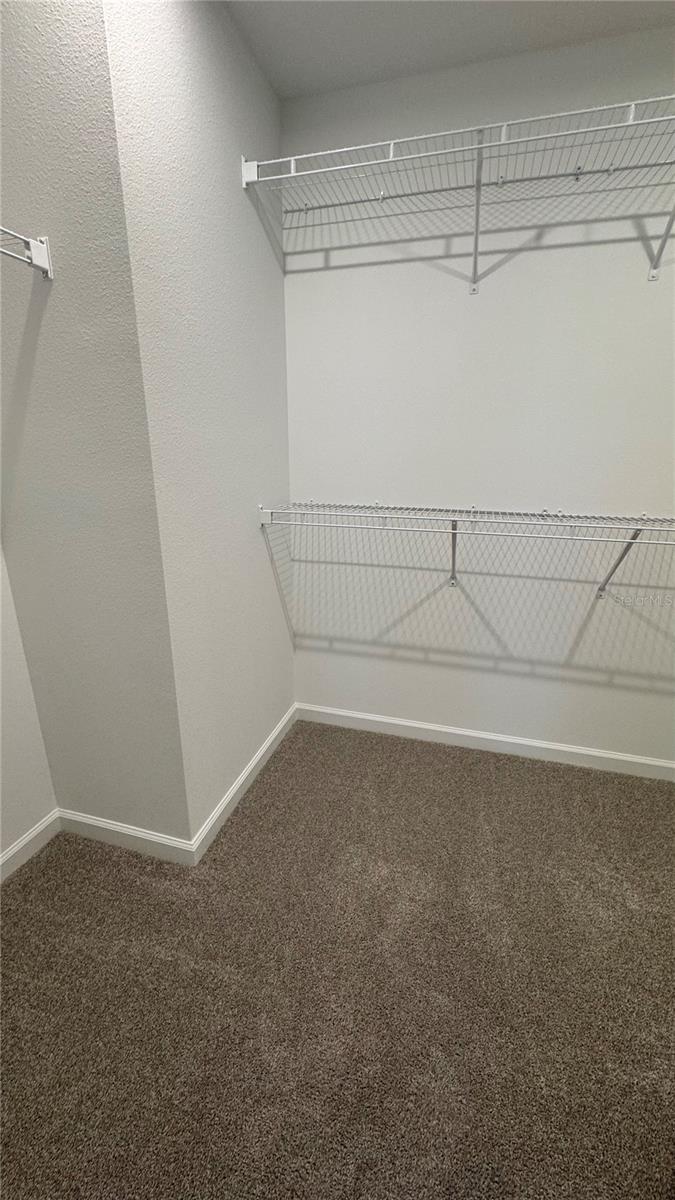3160 GARDENIA RESERVE ST, APOPKA, FL, 32712