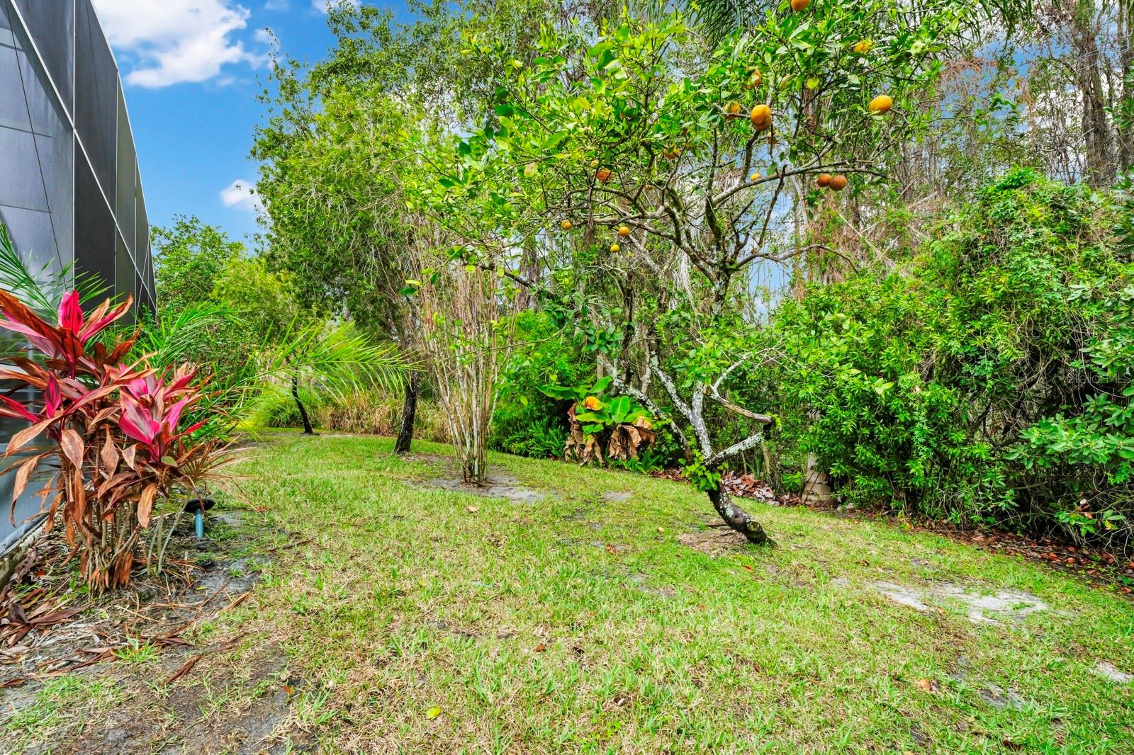 2932 BAYHEAD RUN, OVIEDO, FL, 32765