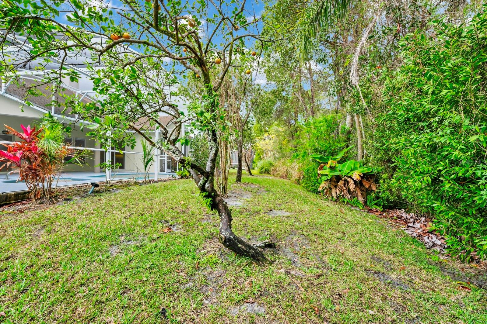 2932 BAYHEAD RUN, OVIEDO, FL, 32765